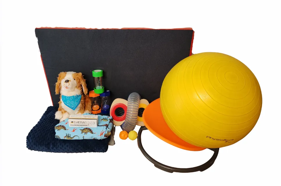 sensory support kit content, including robotic dog, spinning seat, exercise ball and more