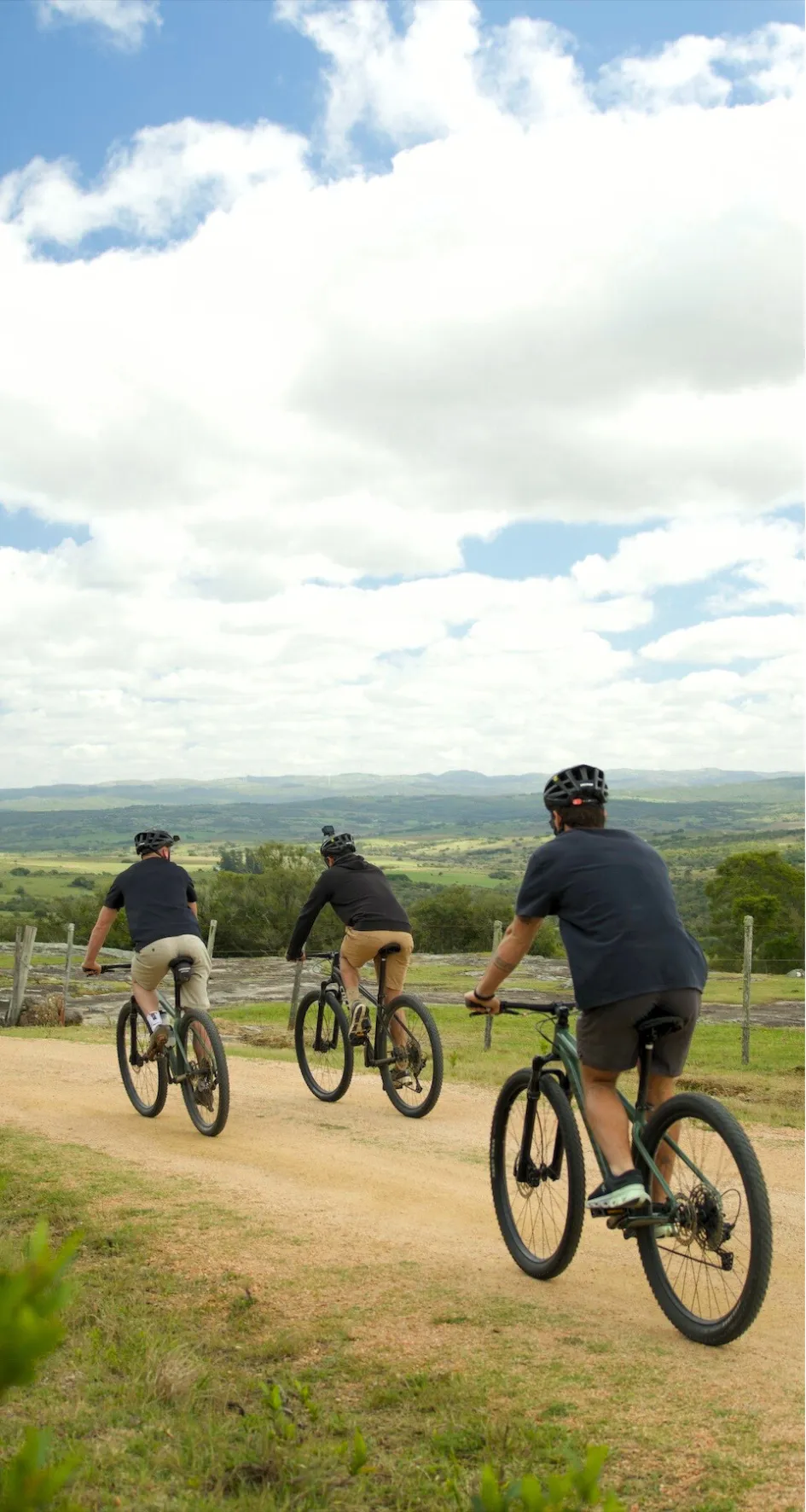 Bike rental Jose Ignacio 