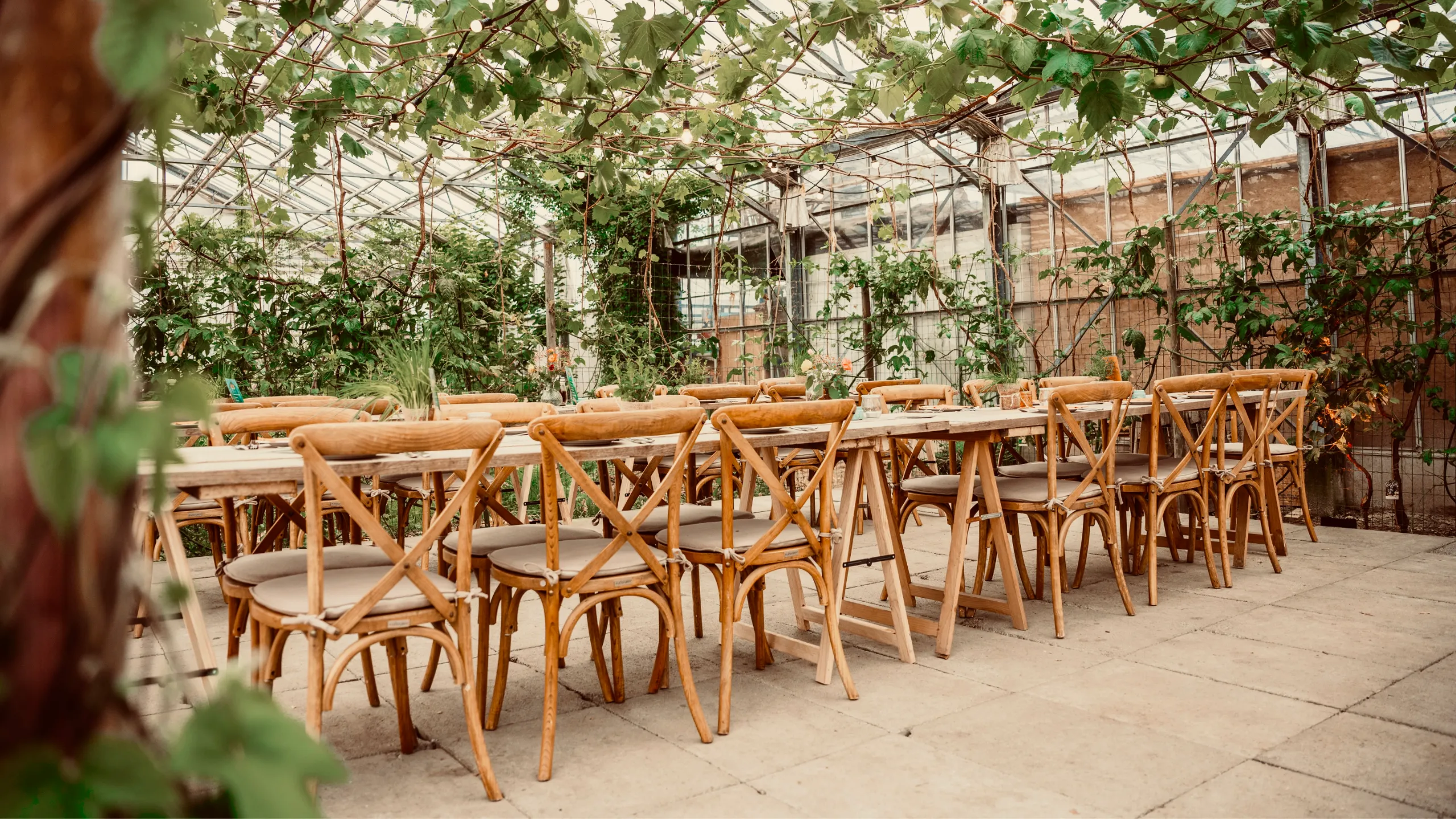 Verhuur tenten, verhuur feestmateriaal