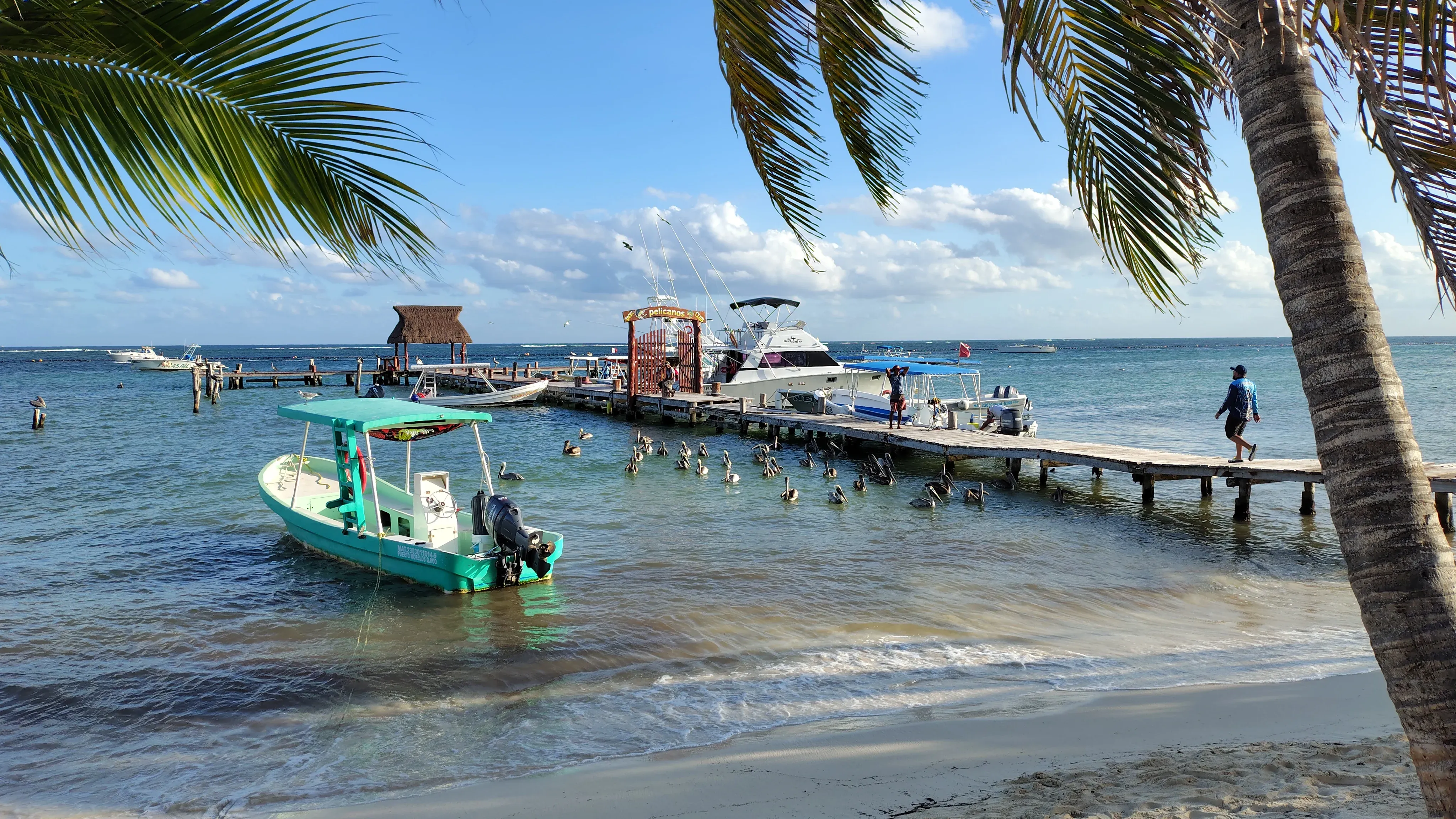 pier in Puerto Morelos with pelicans
