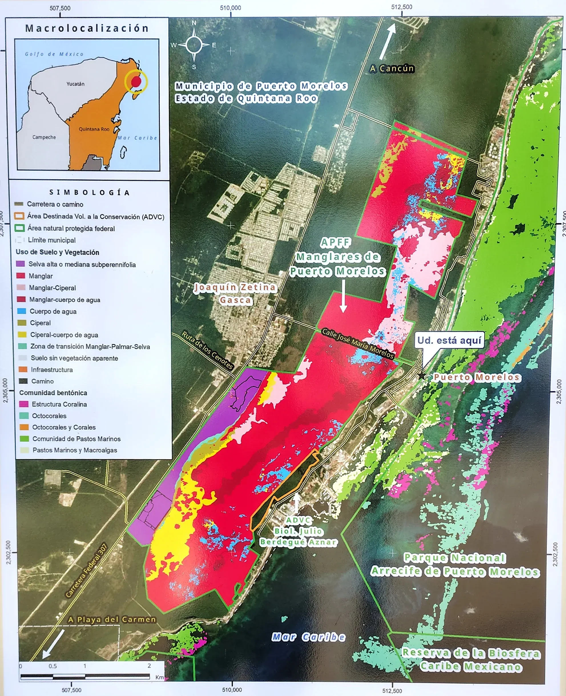 Map of the Puerto Morelos 2026