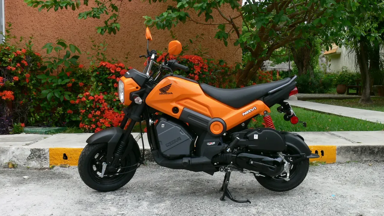 Honda Navi for rent