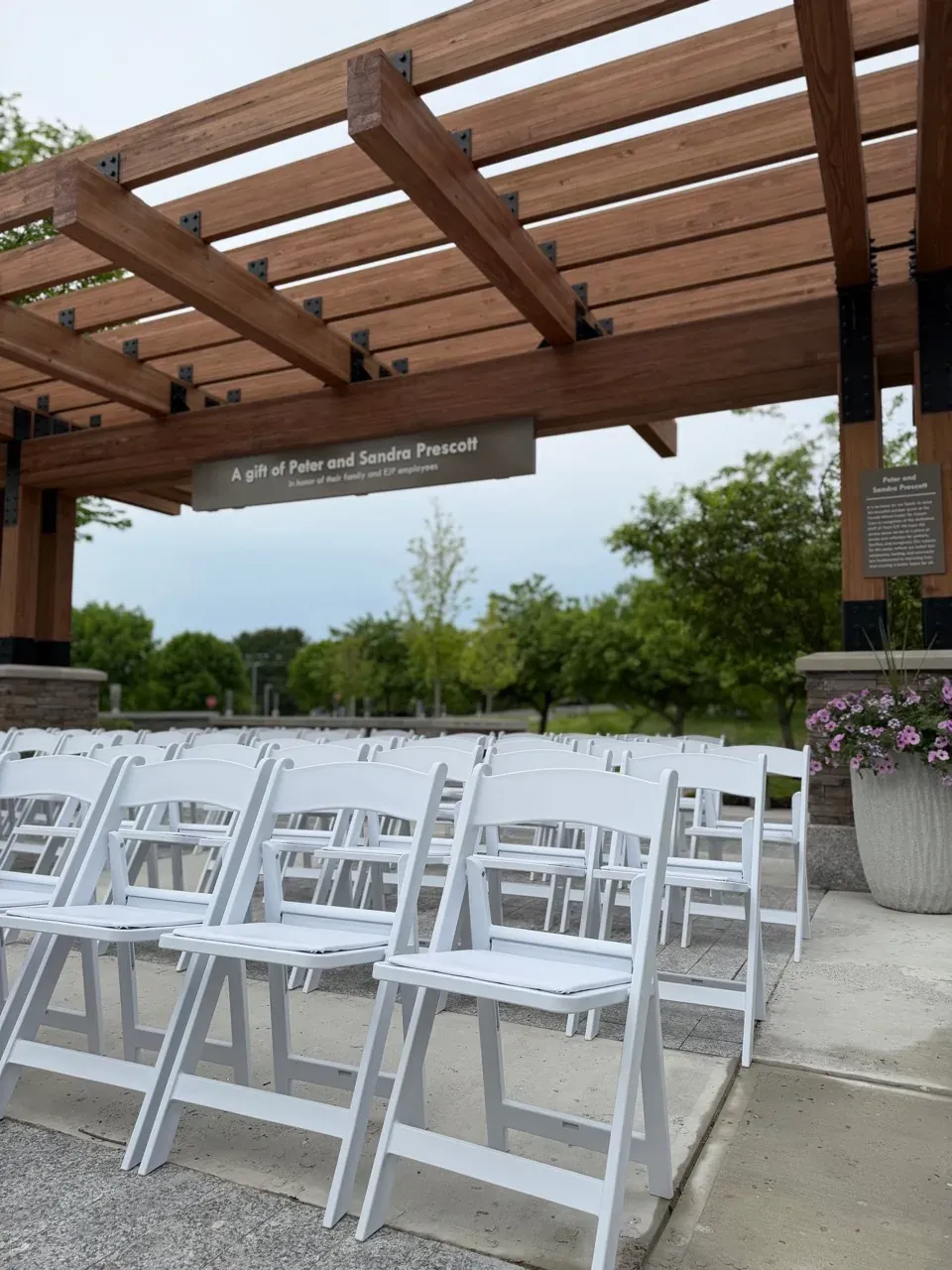 Wedding chairs lined up for a ceremony