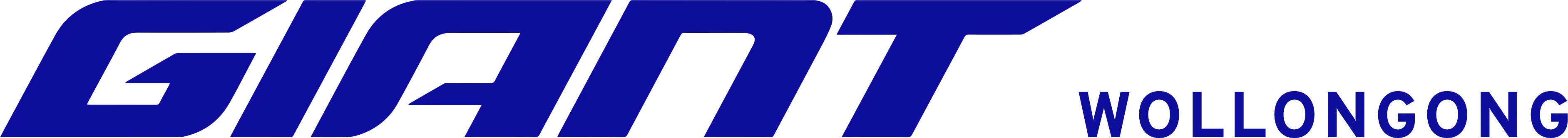 Giant Wollongong E-Bike hire