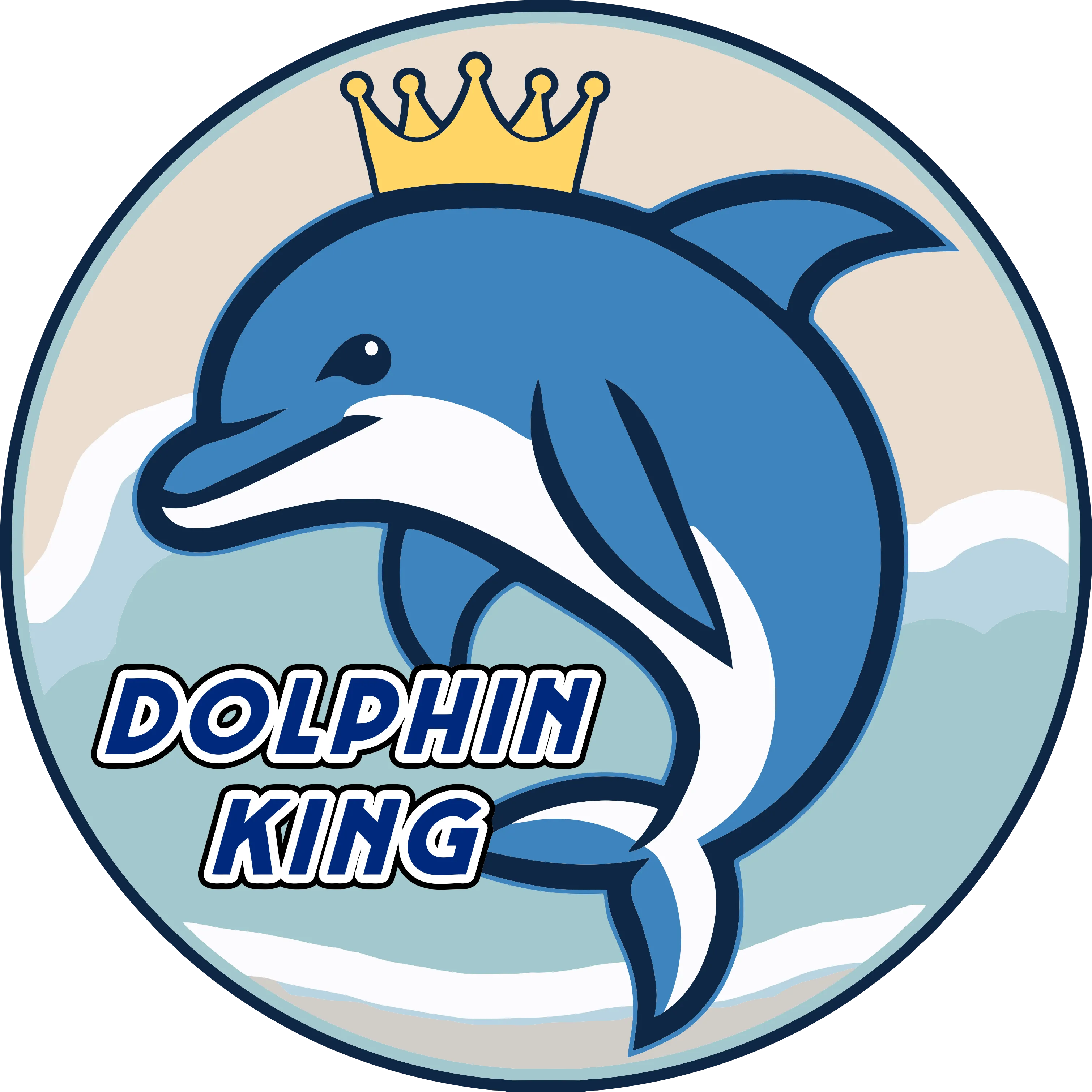 Dolphin King Beach Equipment Rentals