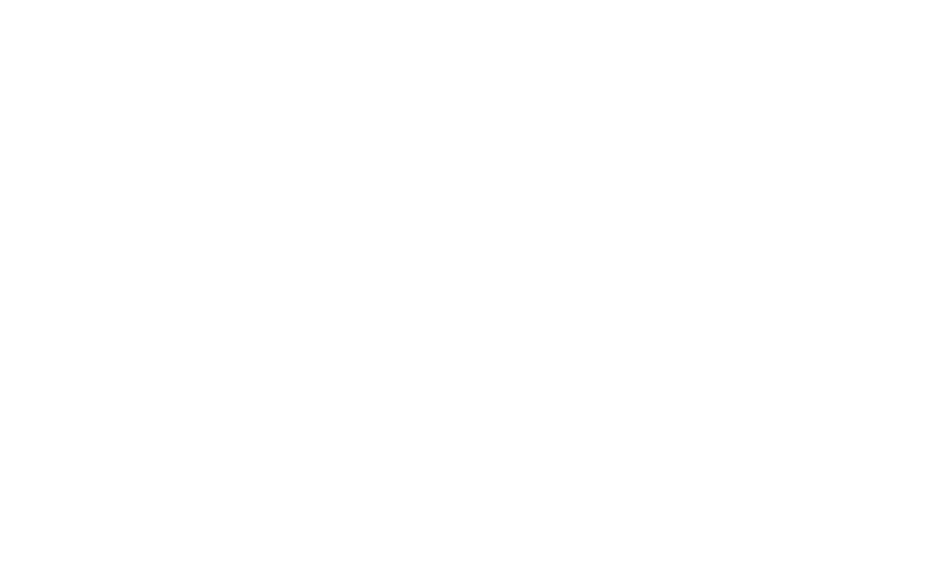 MT Brushmore Equipment Rental & Land Services