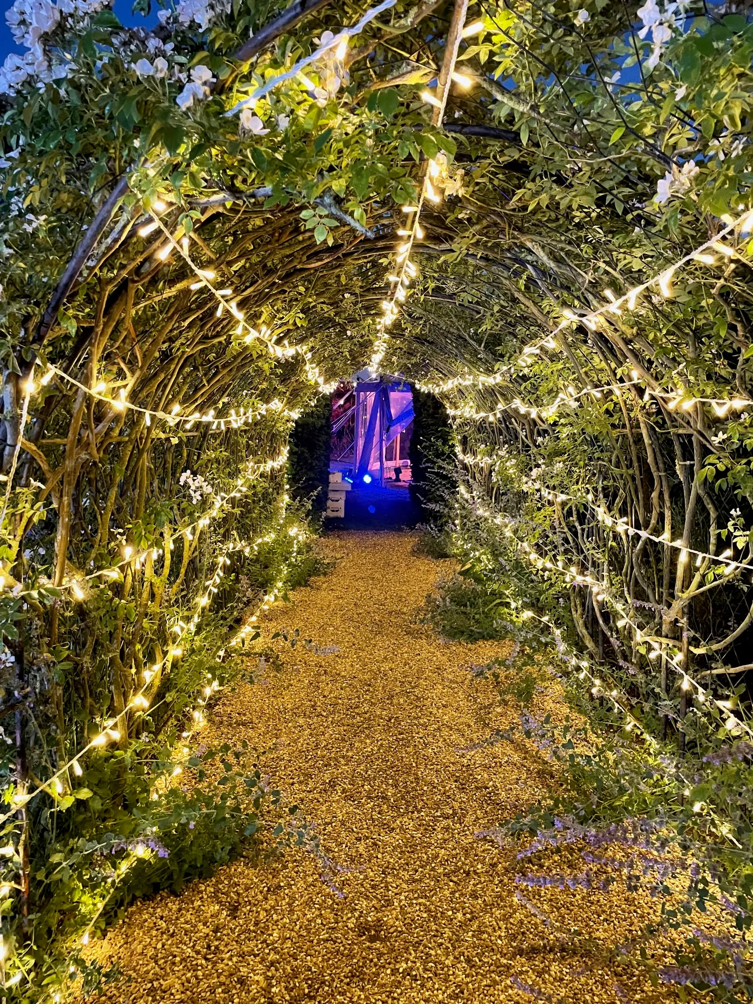 Fairy light tunnel
