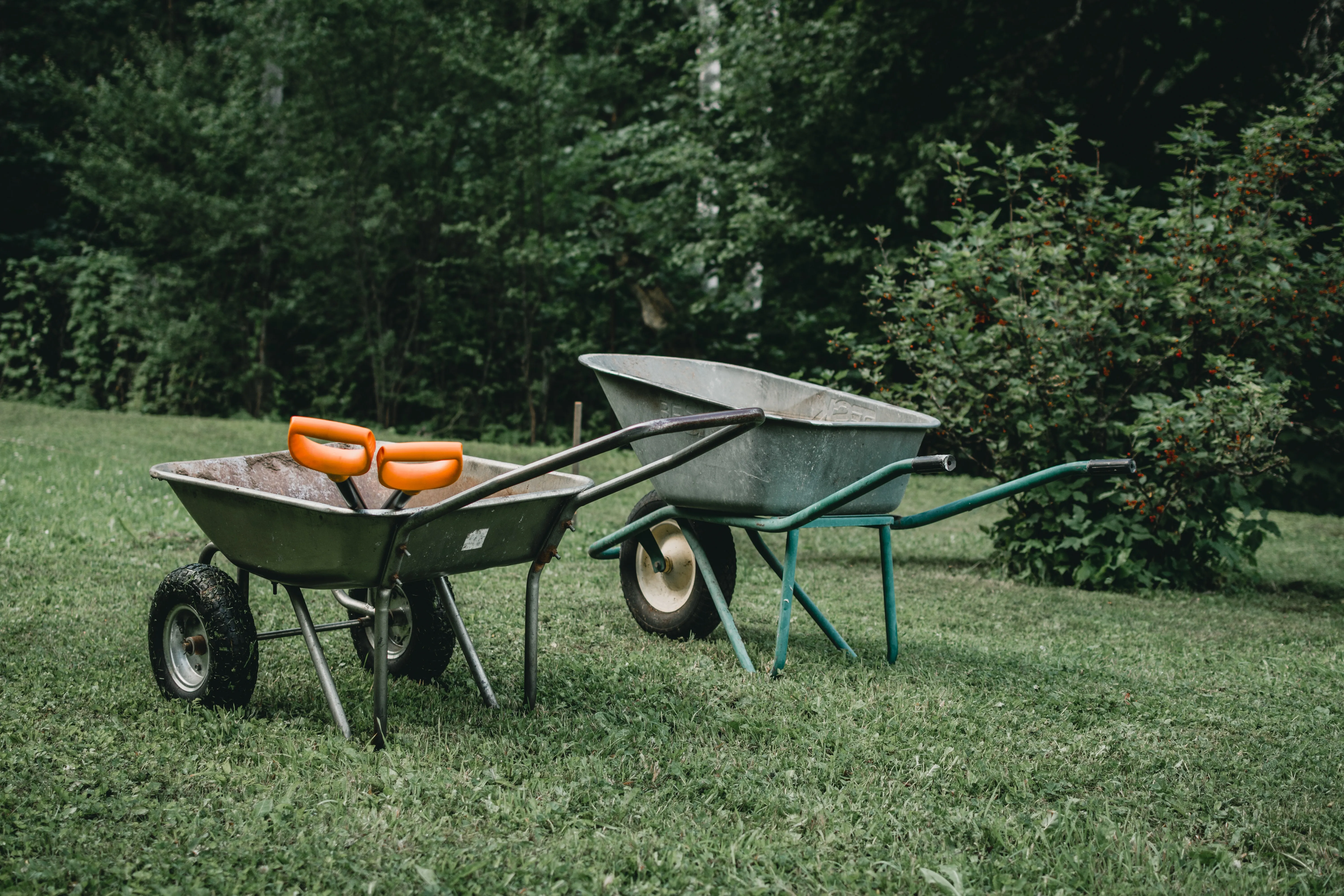 Gardening and Cleaning