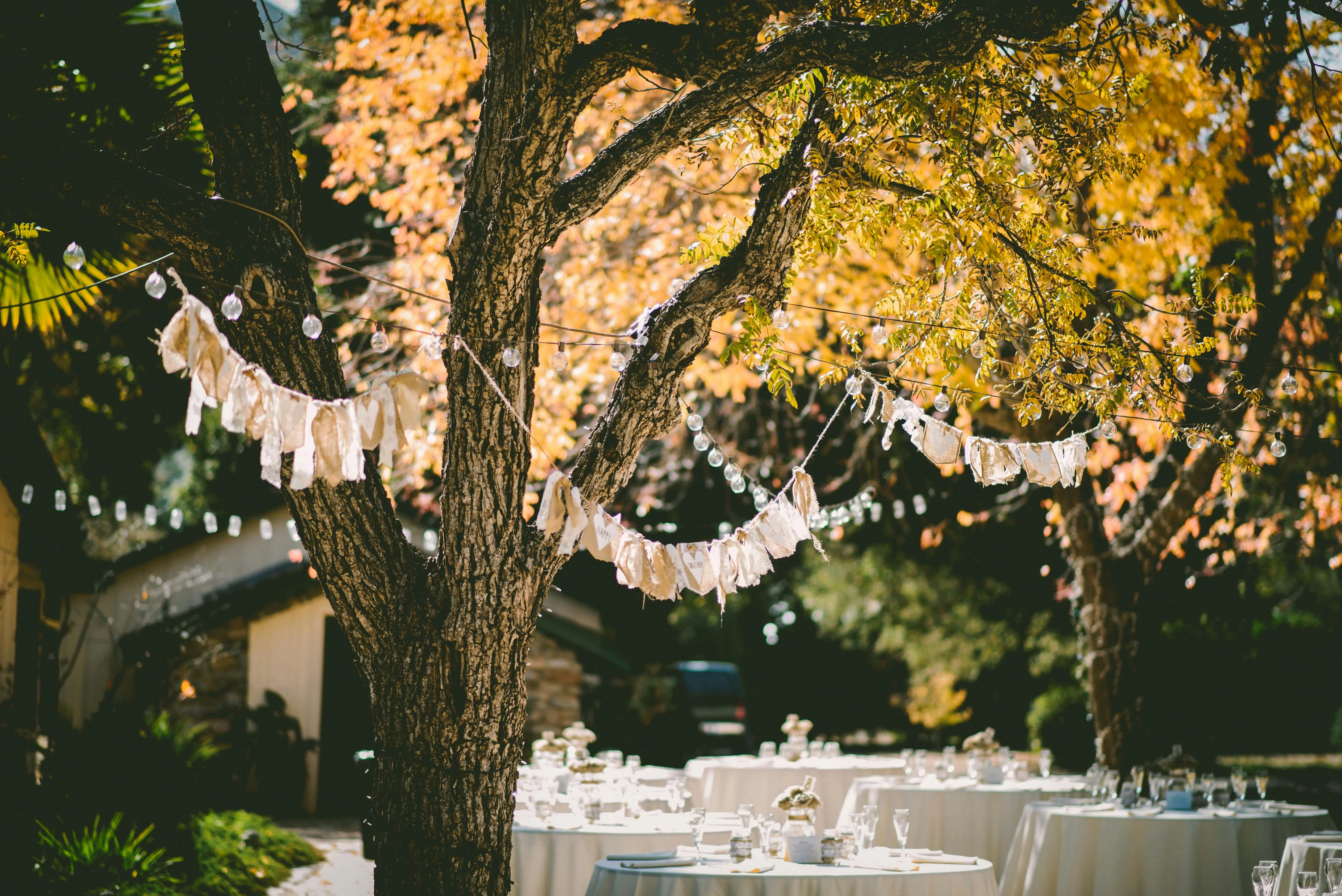 Outdoor event with round banquet tables beneath large trees decorated with string lights and fabric garlands, creating a beautiful backyard party setting.