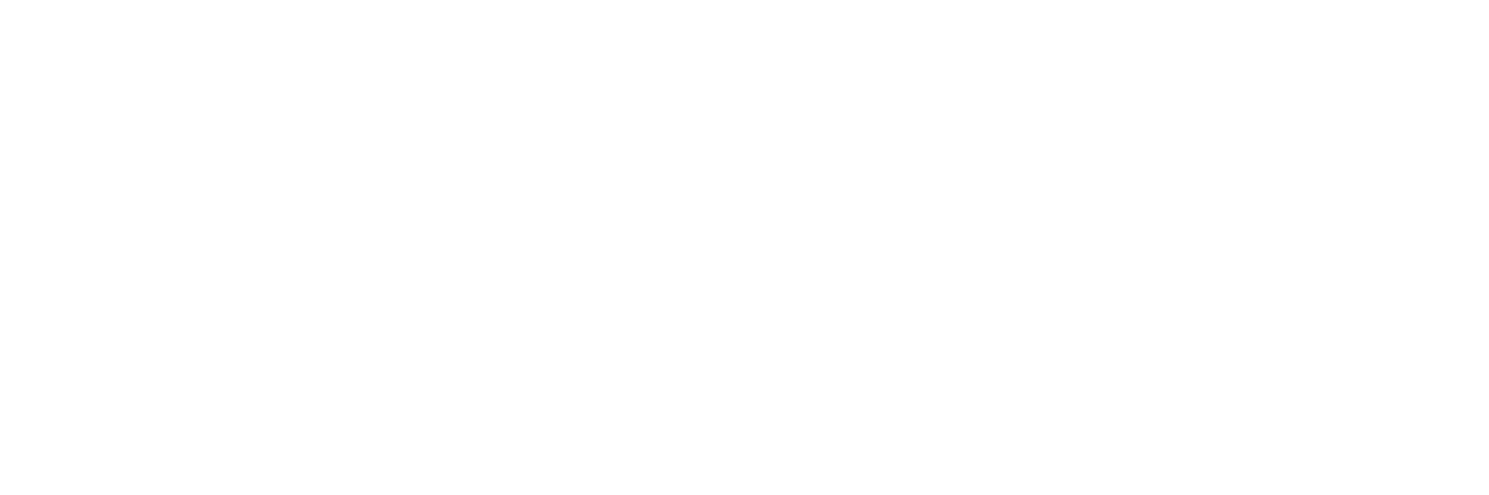 Paraiso Motorcycles