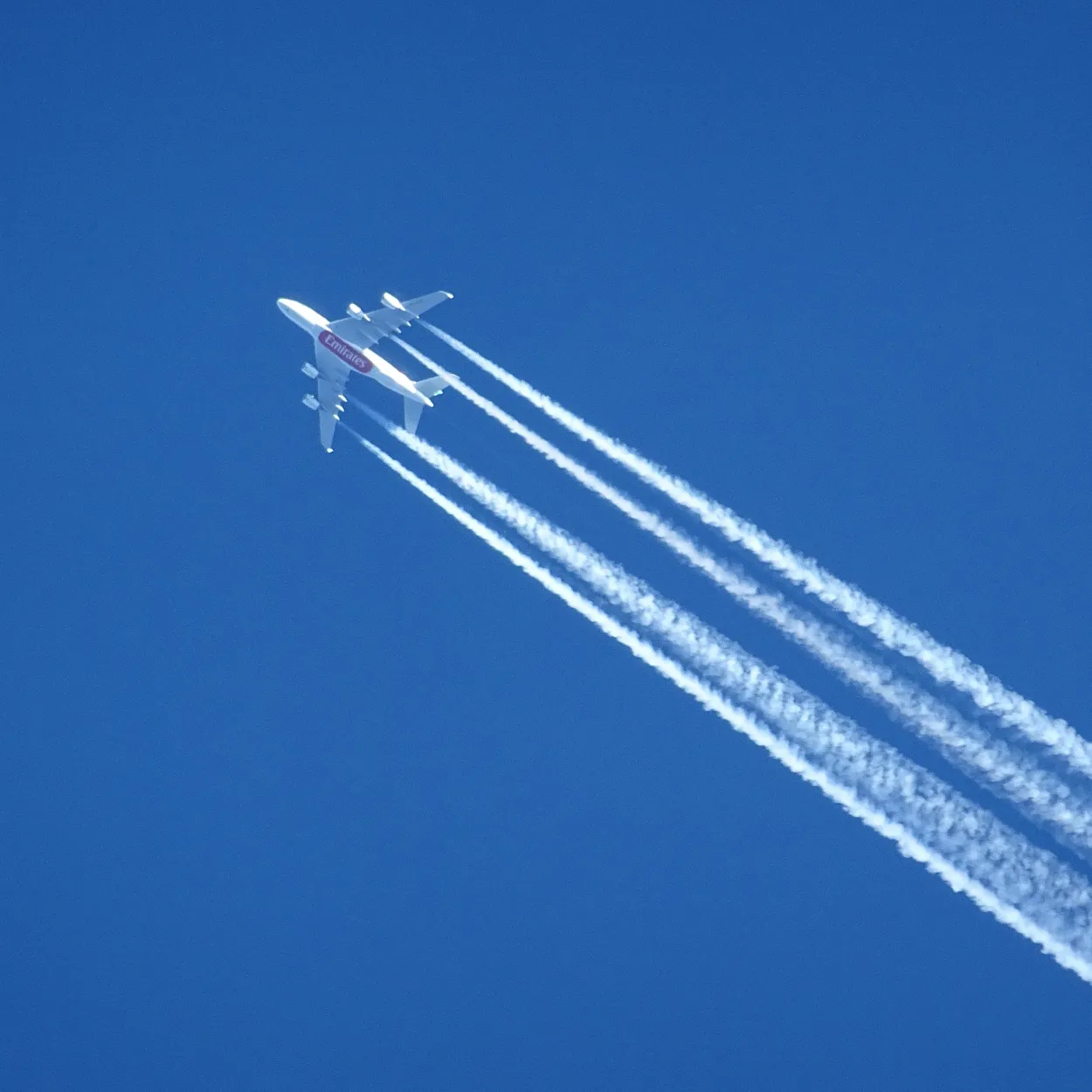 Car Rental Airport Service Palma