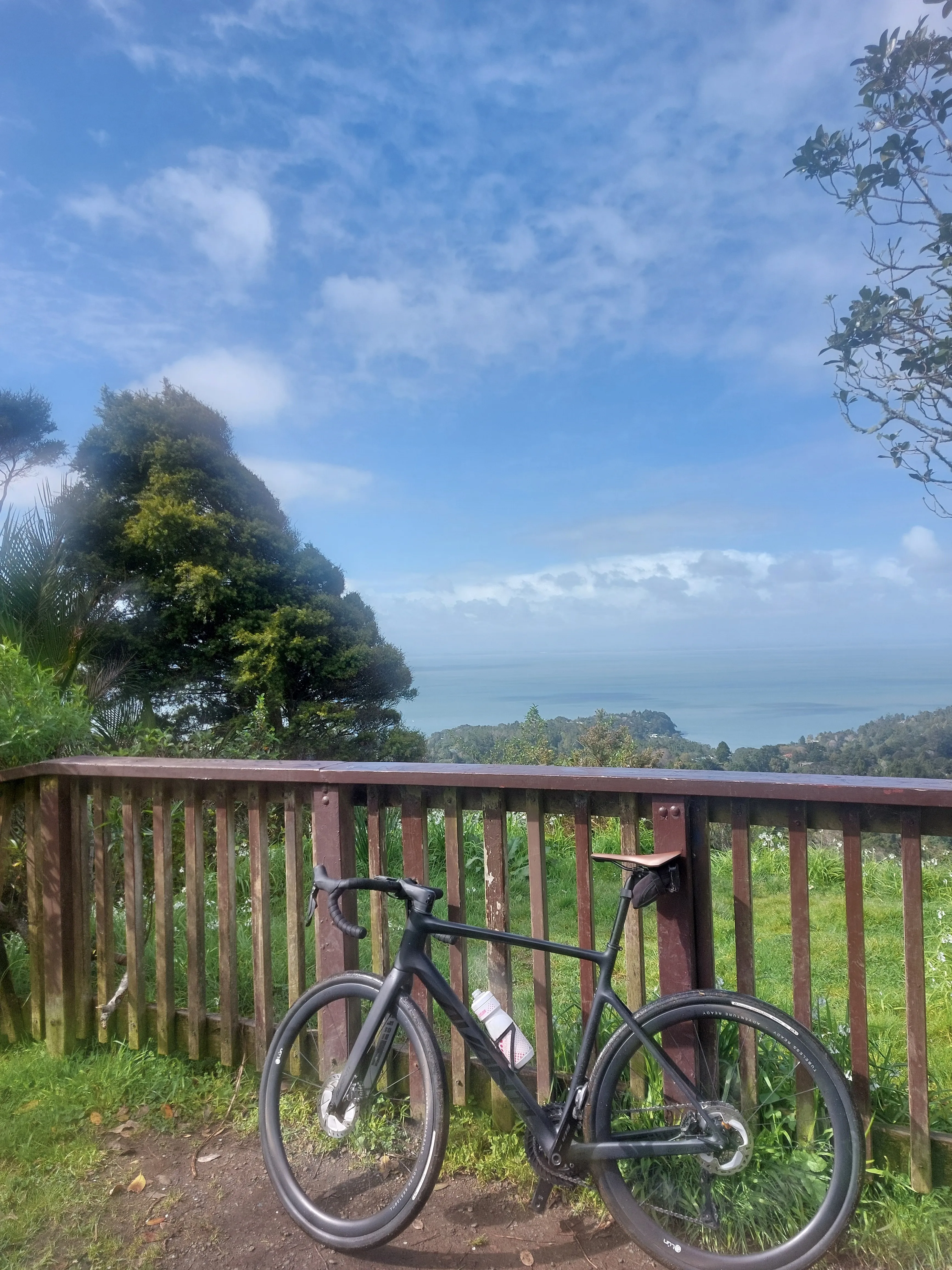 Mt Atkinson - Titirangi 