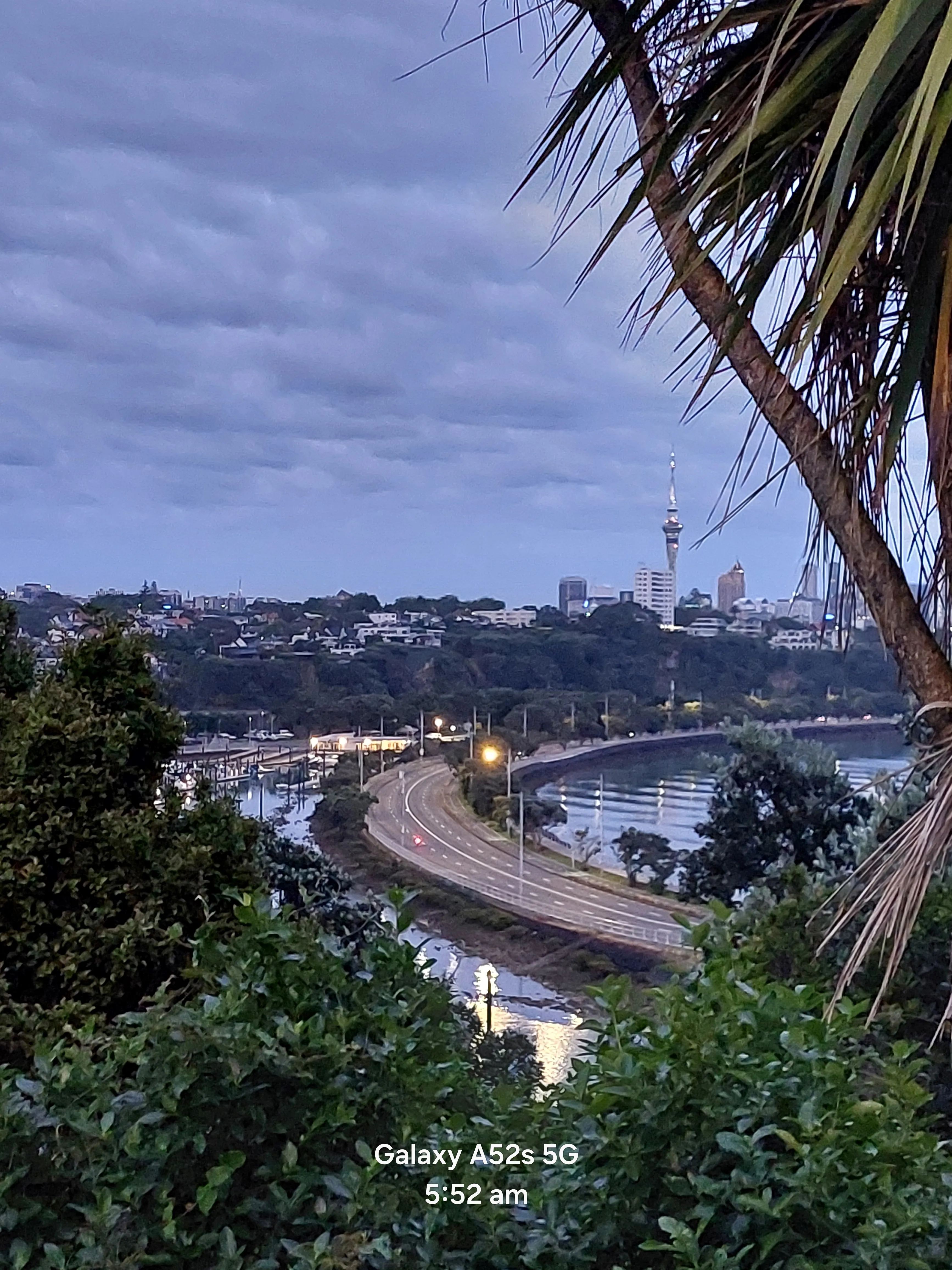View of Tamaki Dr with Sky Tower behind