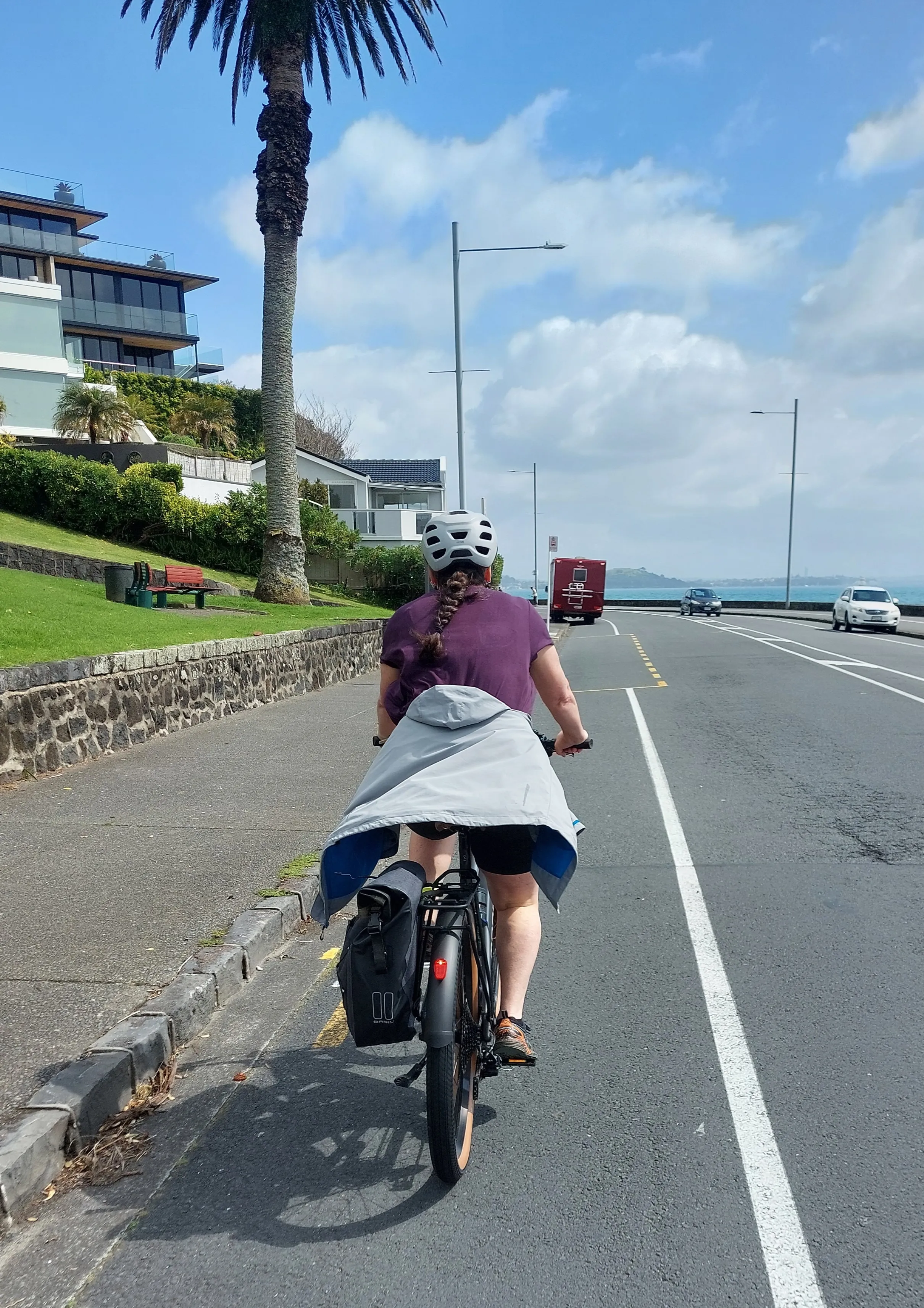 Tamaiki Dr - ebike
