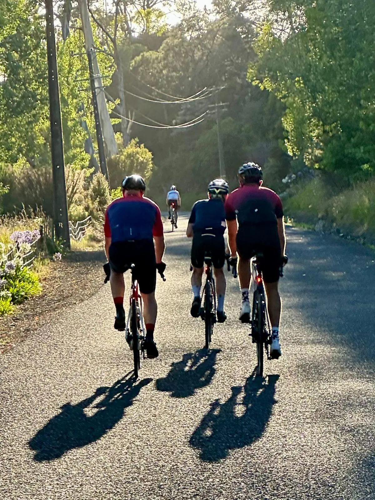 Climbing to the top of the Waitakere ranges
