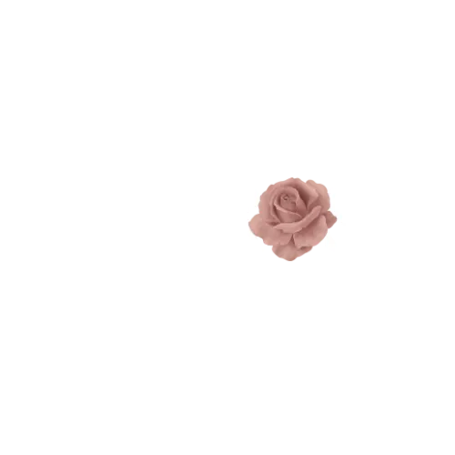 Melrose Dress Hire