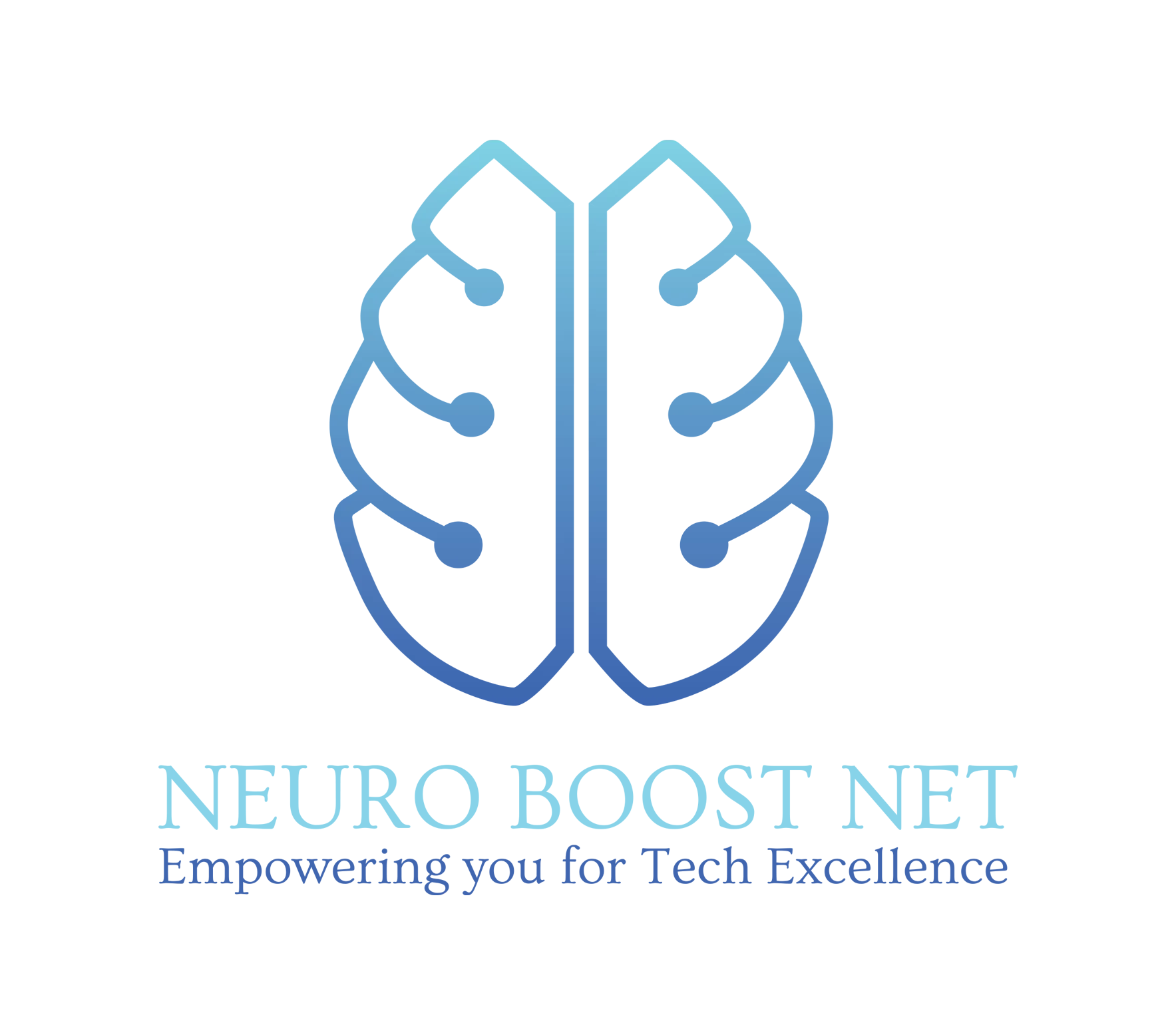 Neuro Boost Net LLC
