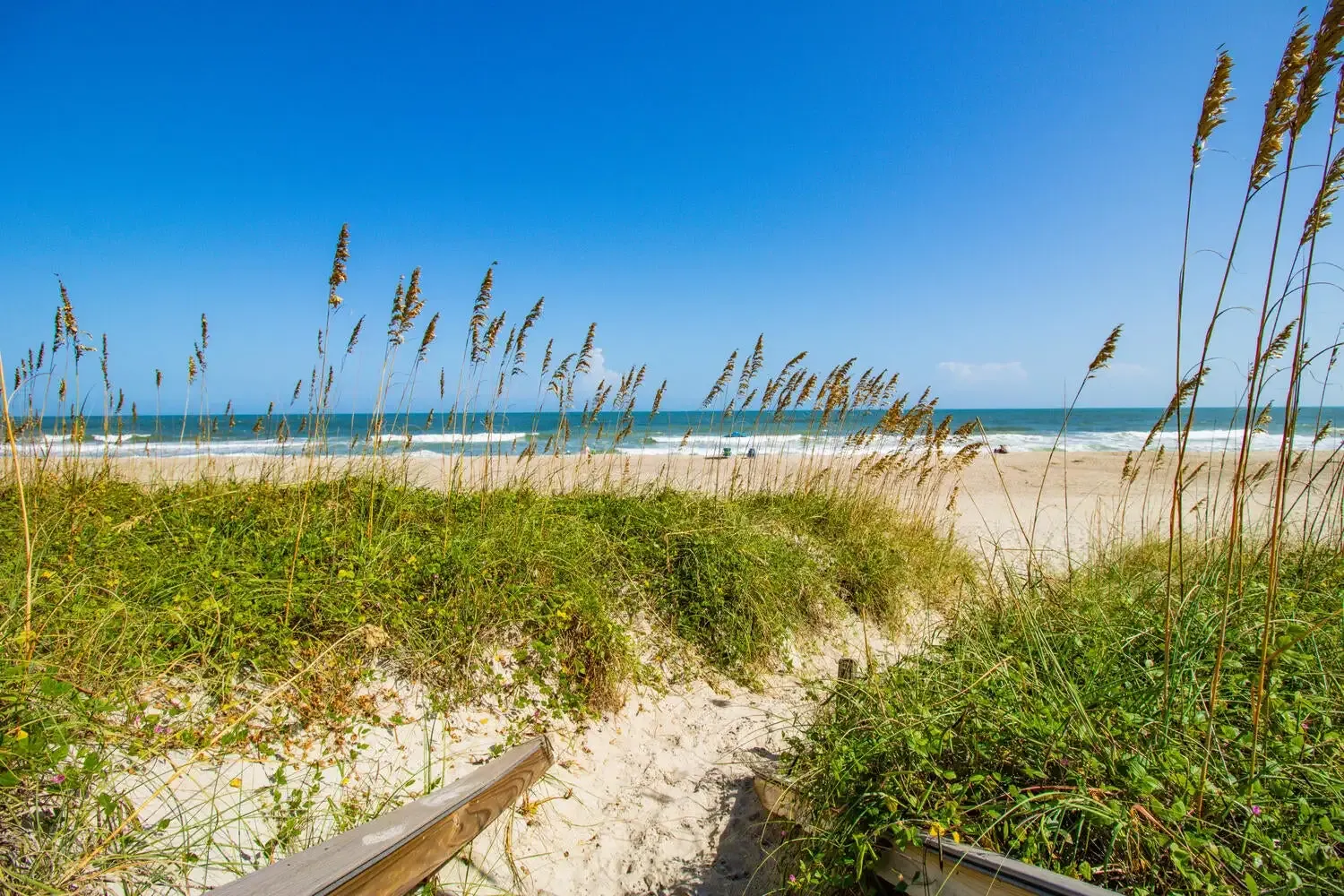 View of Path through dunes on beach