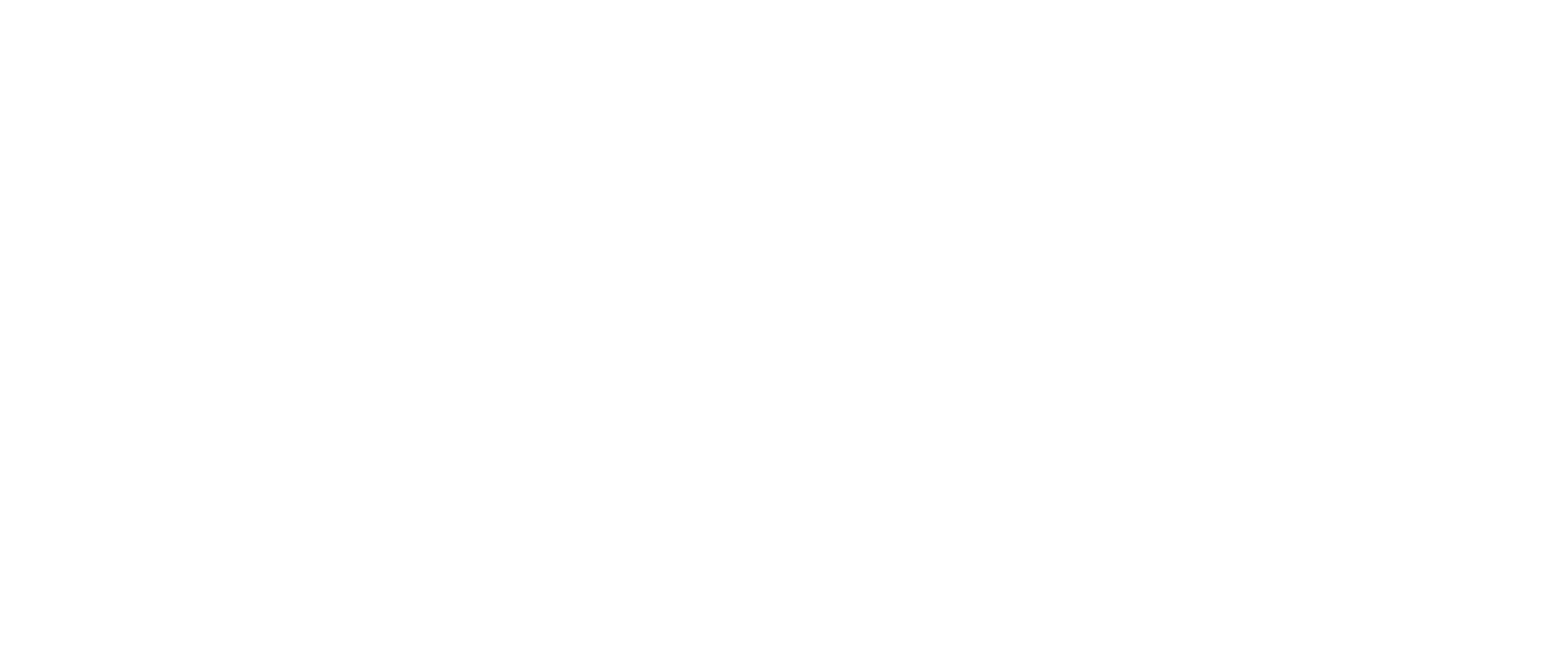 Party Utrecht