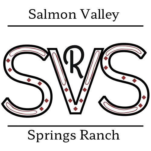 S.V.S. Adventures Ltd