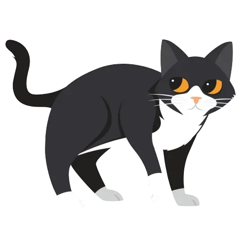 Leihladen Leihbrary®, Mülheim an der Ruhr - Mollys sustainable life e.V.