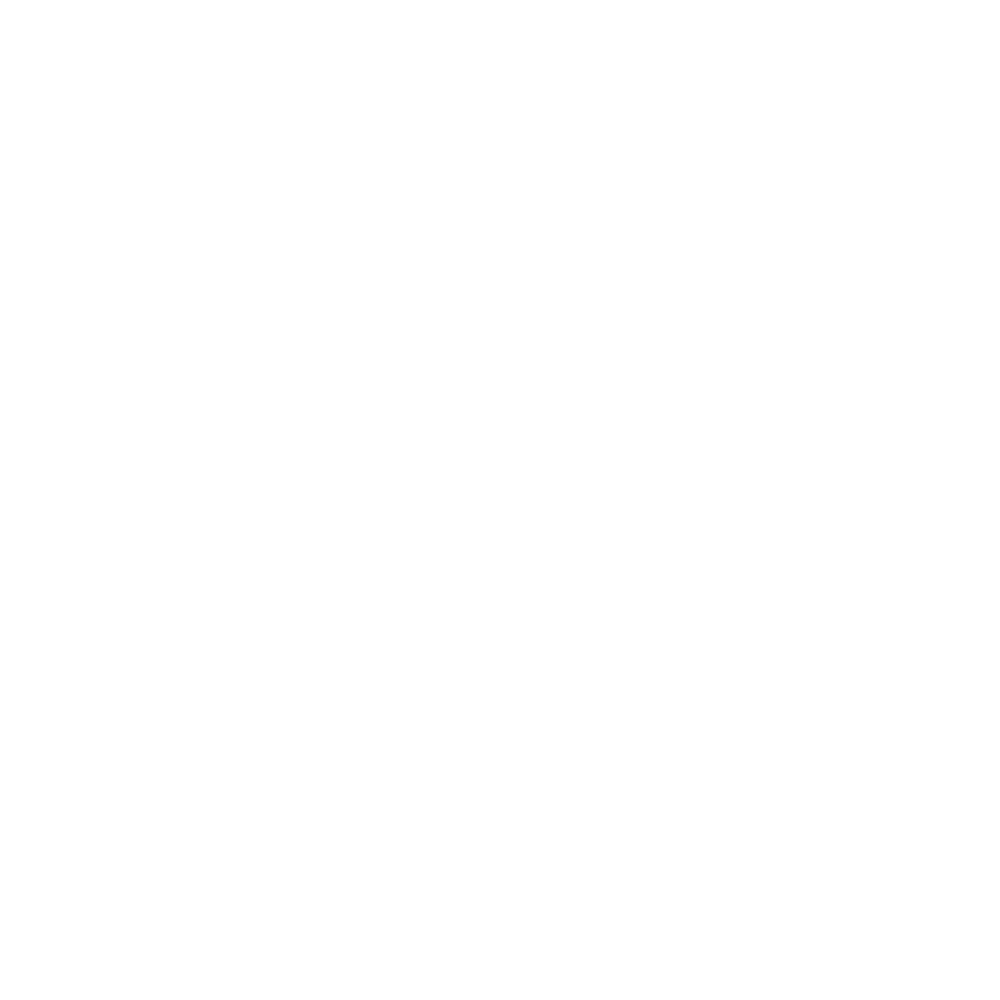 Ghost Rider E Bikes