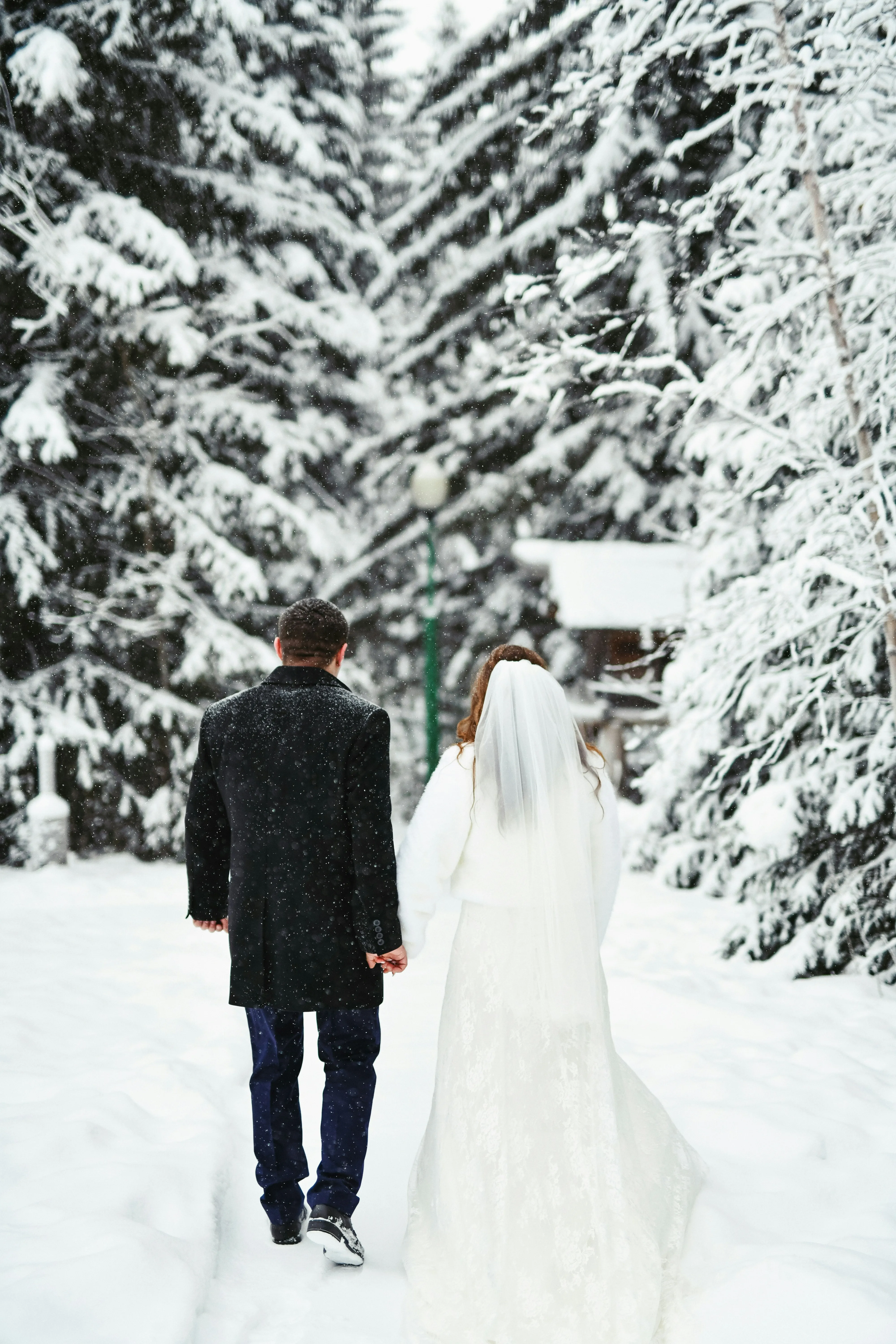 Brautpaar von hinten zwischen verschneiten Bäumen – Winterhochzeit