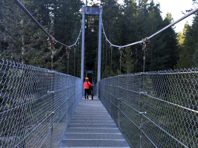 Winter or Summer ride