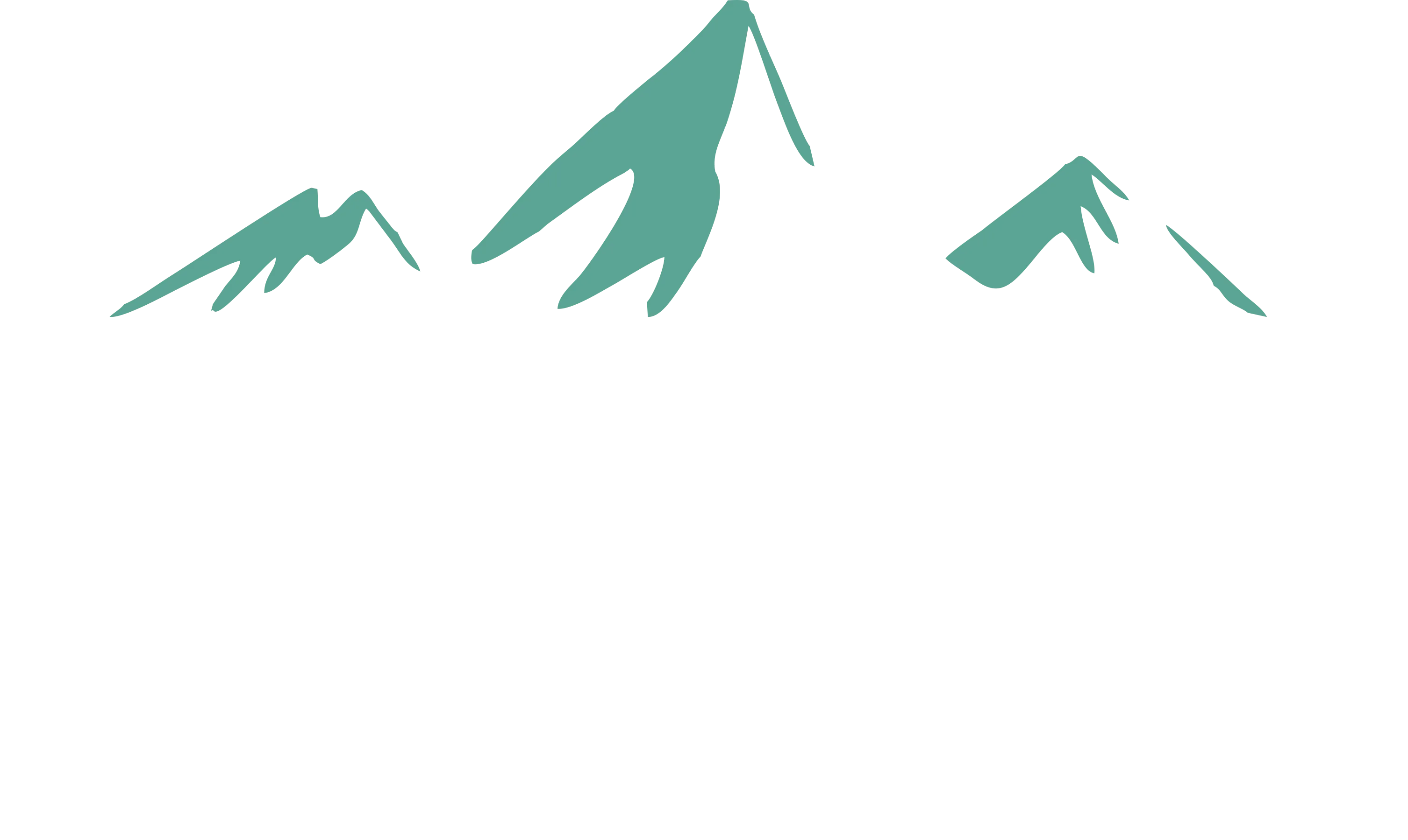Linus Bikes & More
