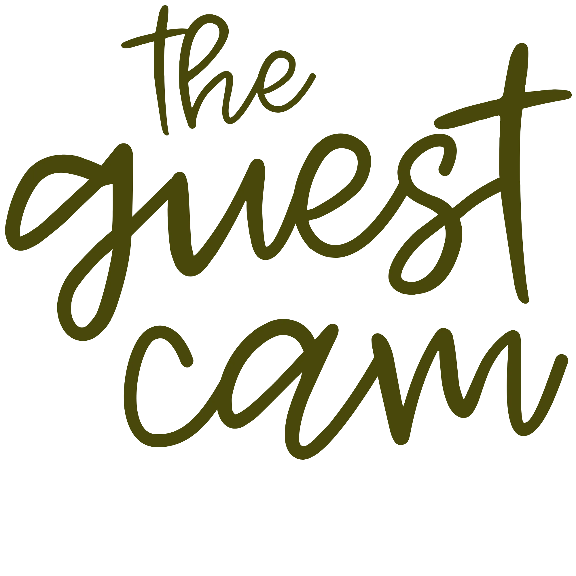 The Guest Cam