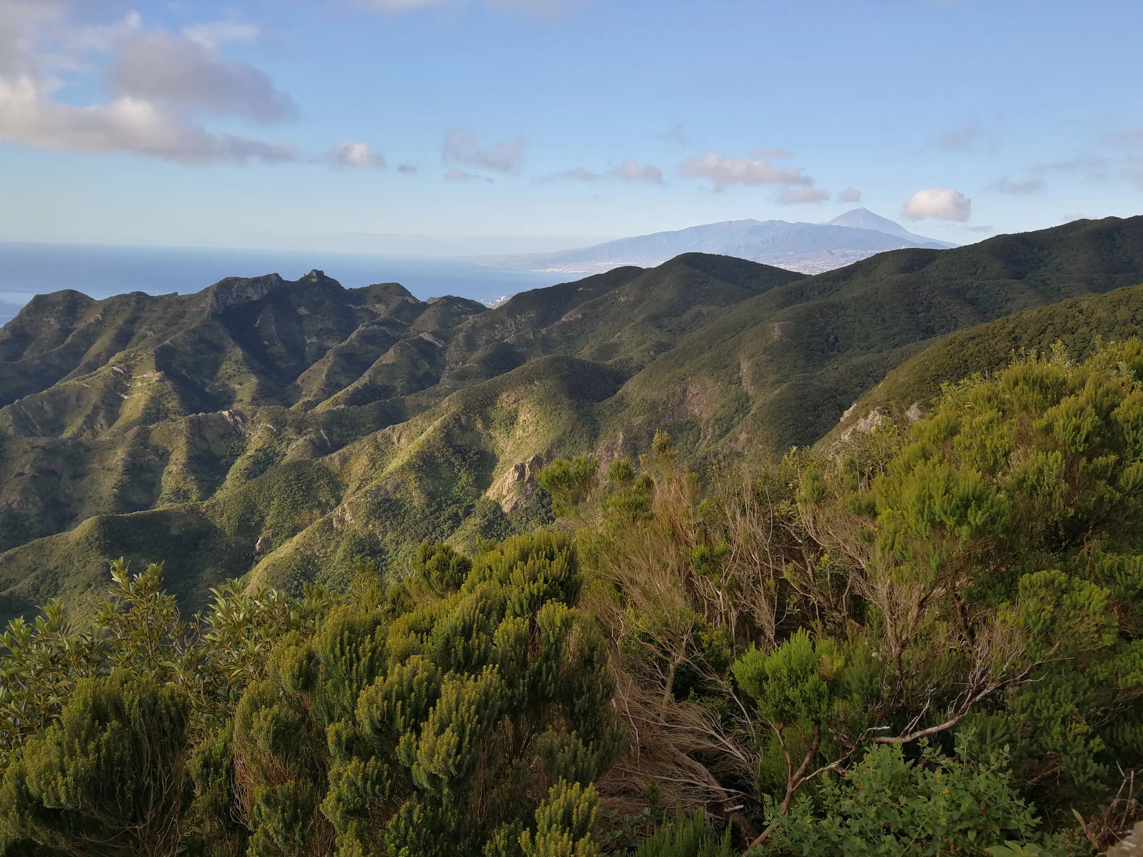 La Gomera, Teneriffa, Gran Canaria: wunderschöne Kanareninseln