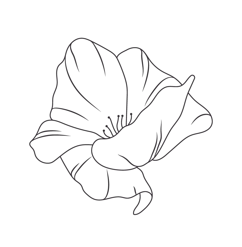 Golden Coast Design Elements