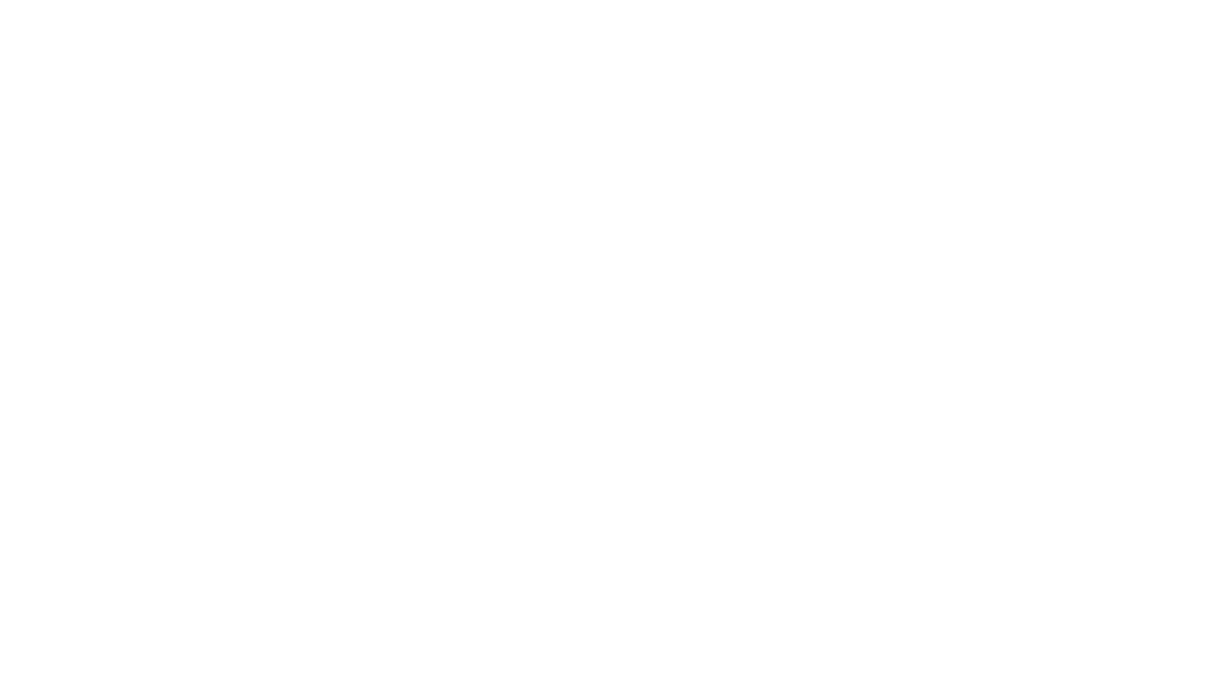 FANCY PARTY