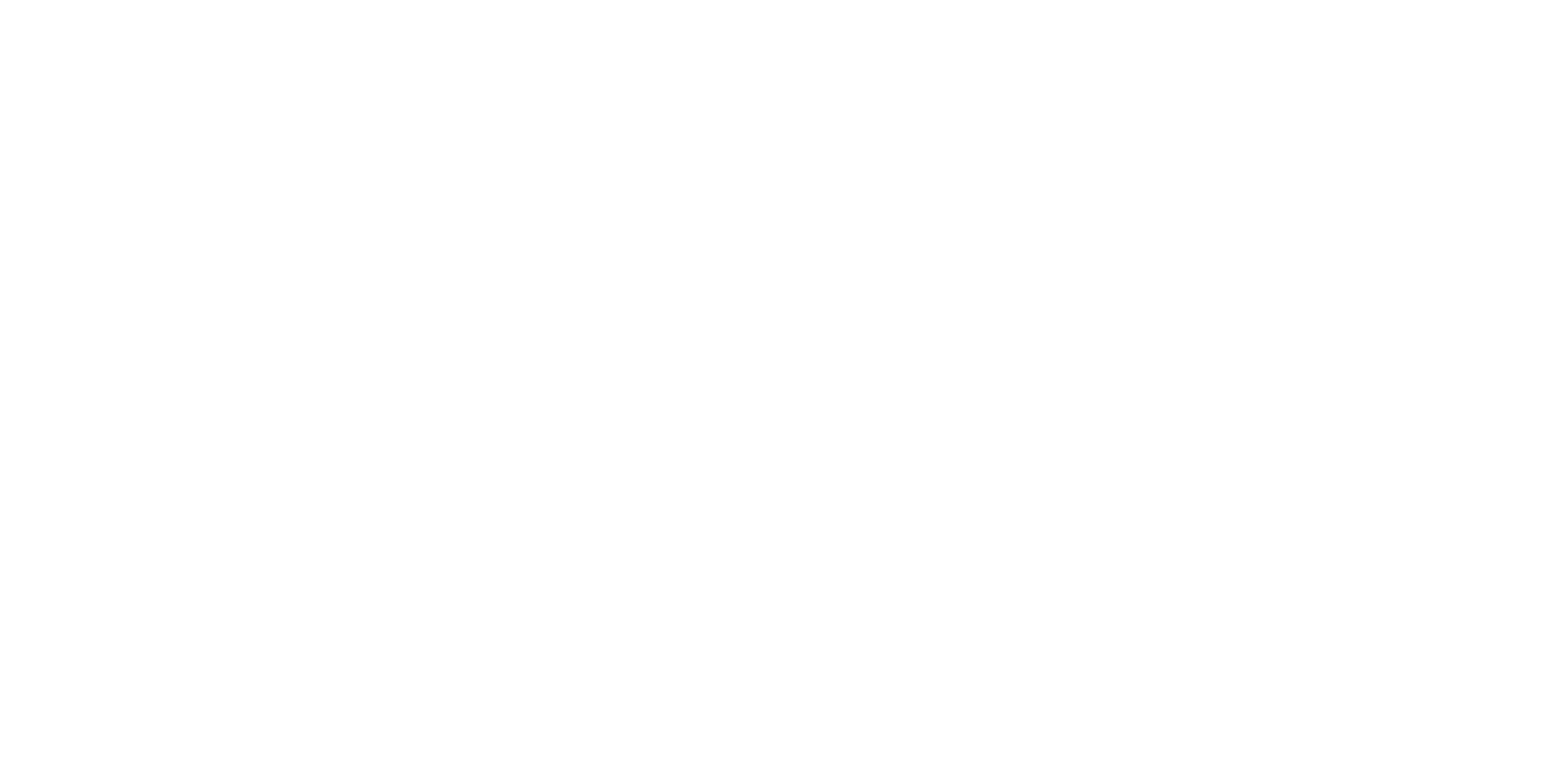 BIRLE CONSULTING S.R.L.