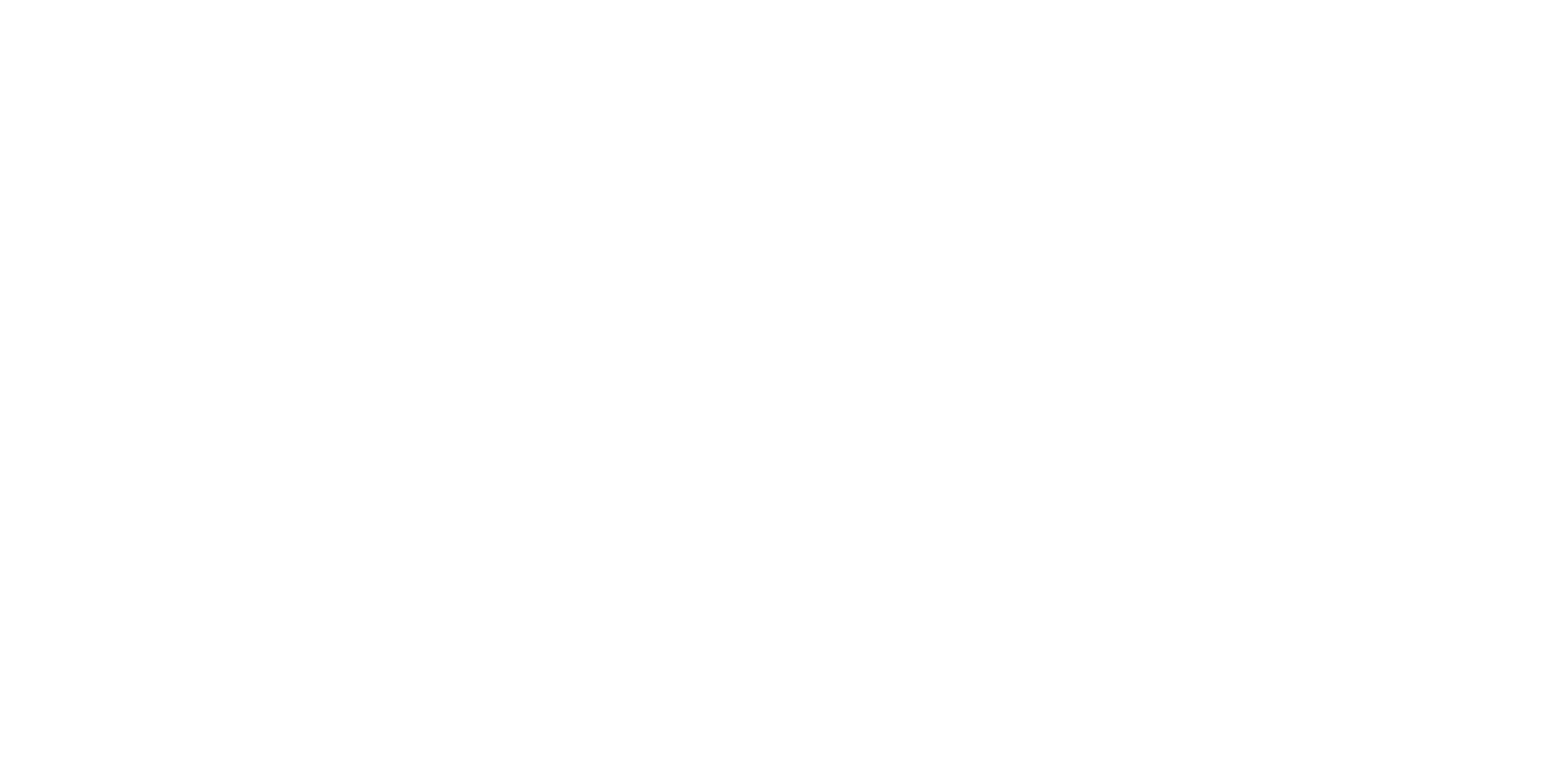 BIRLE CONSULTING S.R.L.