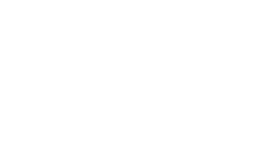 Maven Pole Vault LLC