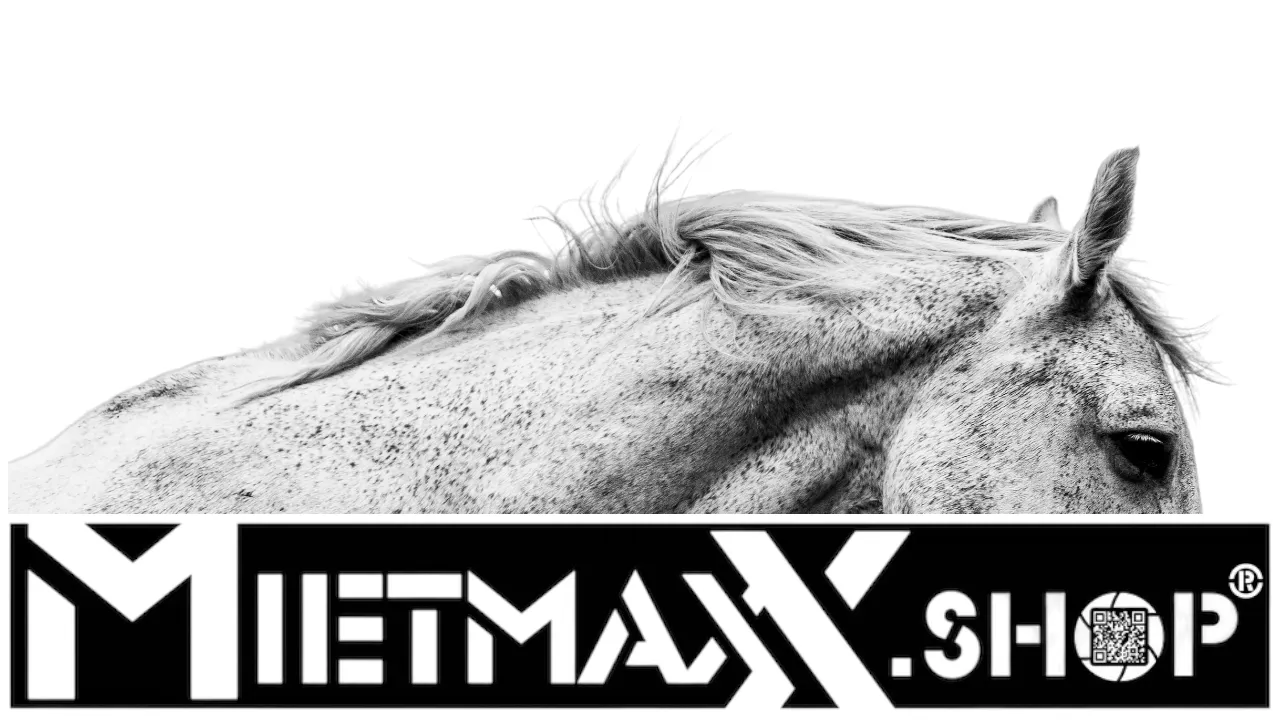 MietMaxX.shop®