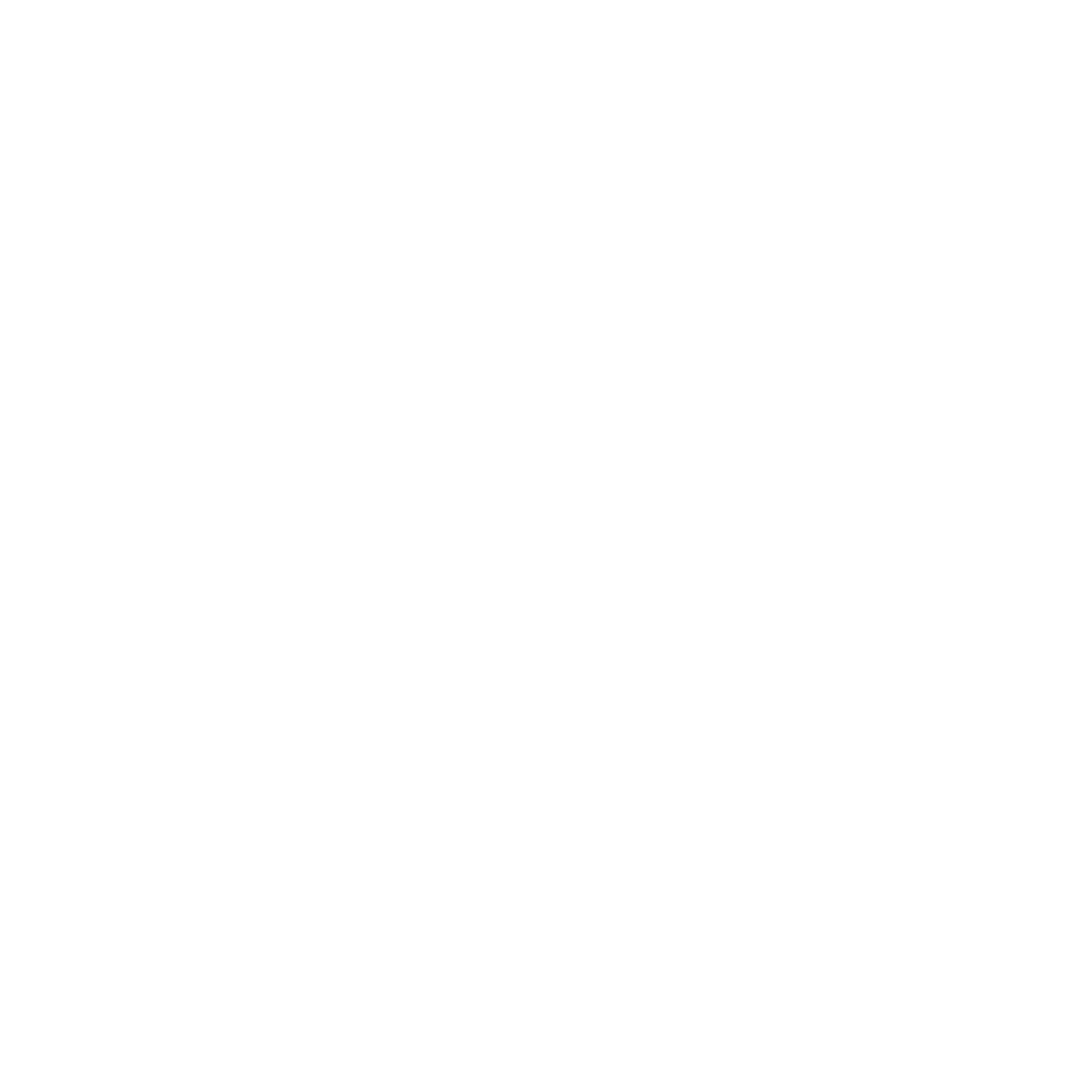 Revelation Optics