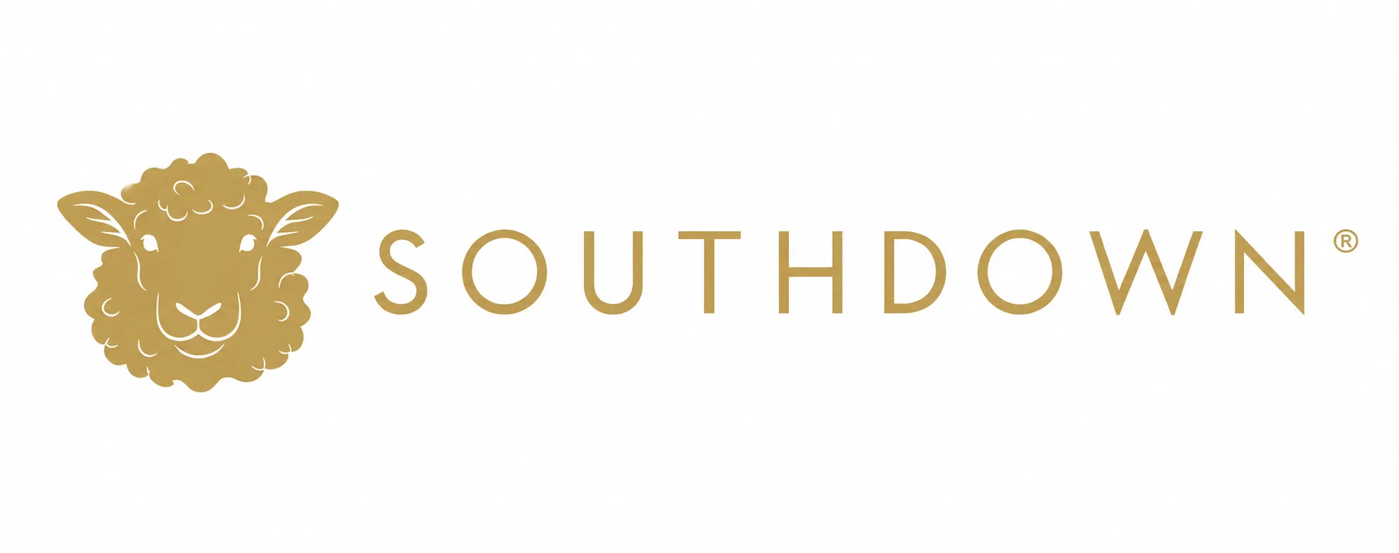 Southdown LLC