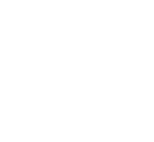 Triple T Rentals LLC