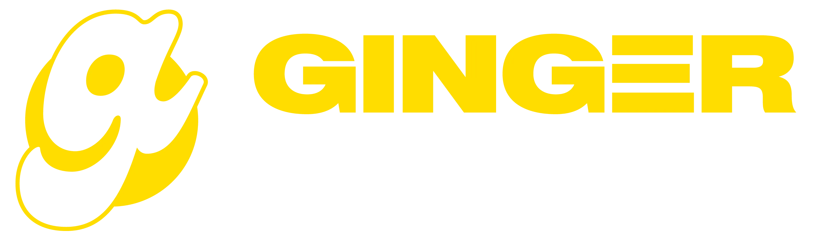 Ginger Studio