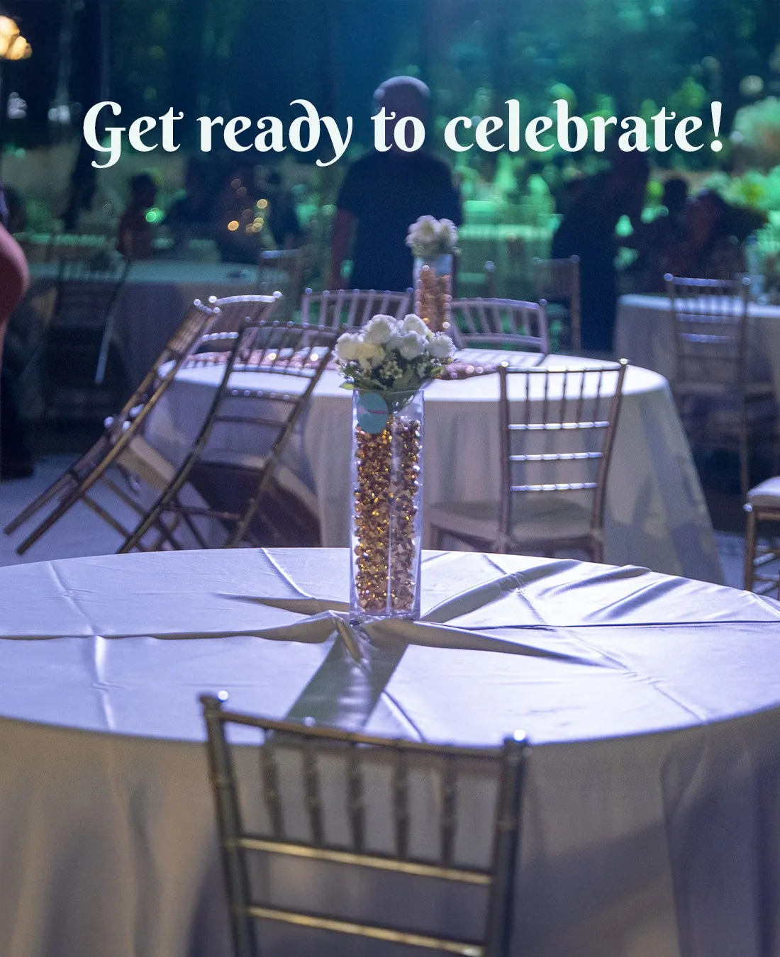 Flamingo Party Rentals Bonaire logo with pink flamingo and teal accents