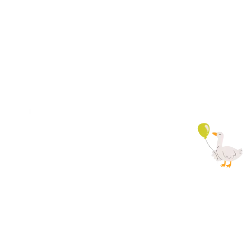 Silly Goose Play Co