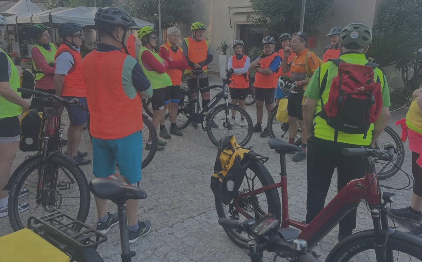 Our company is a fully licensed tour operator offering curated travel experiences, expert local guidance, and comprehensive support