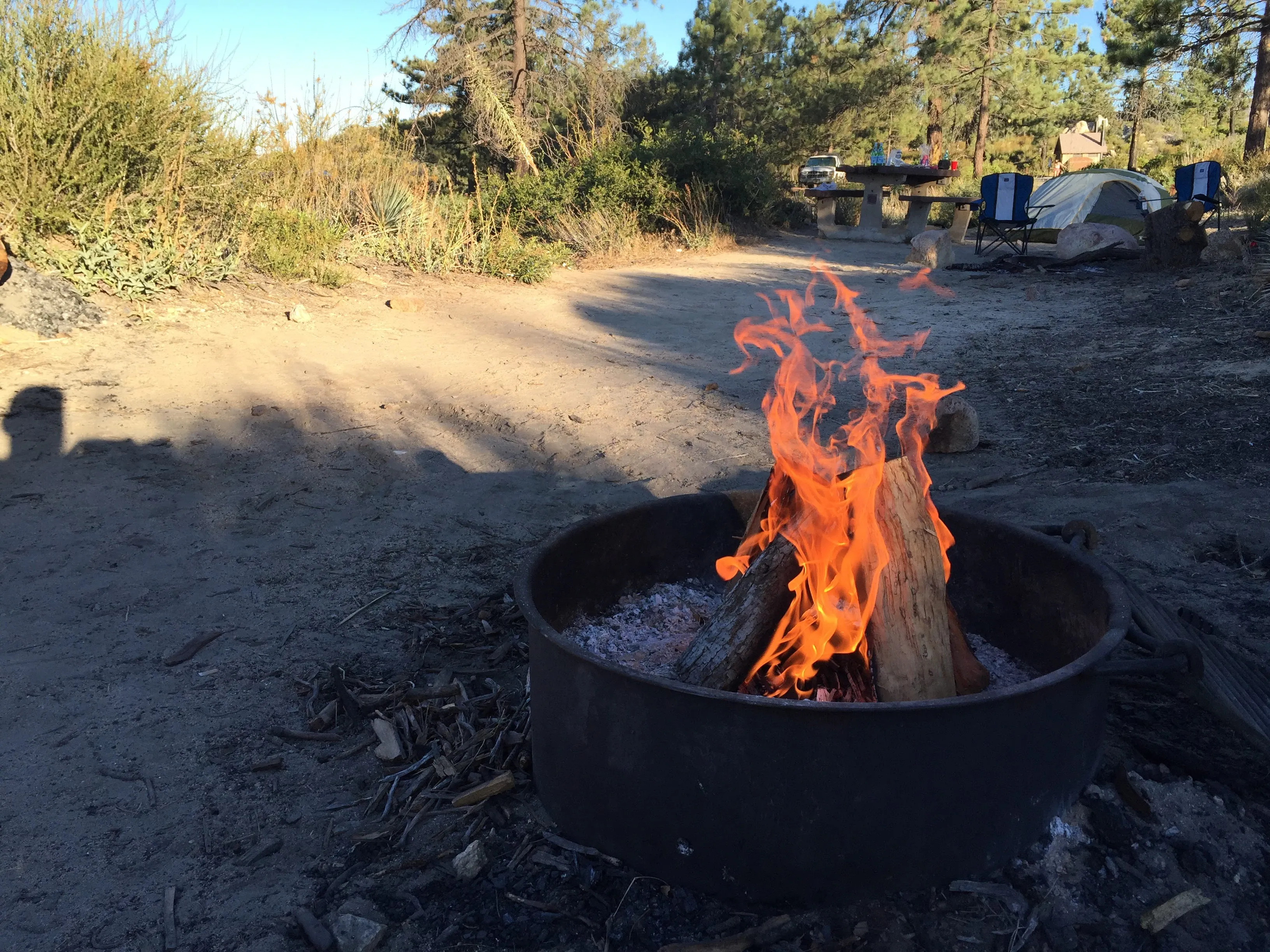 Campfire burning at a campsite with a tent, camp chairs, and picnic table surrounded by pine trees