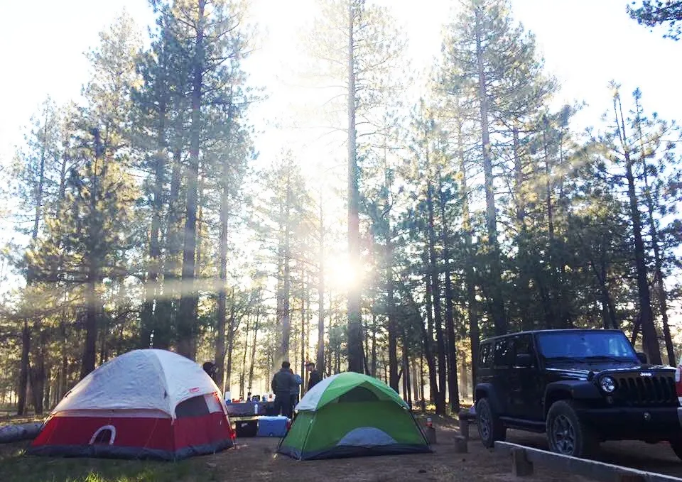 Tent camping in a pine forest near Los Angeles with two tents and a Jeep at a campsite