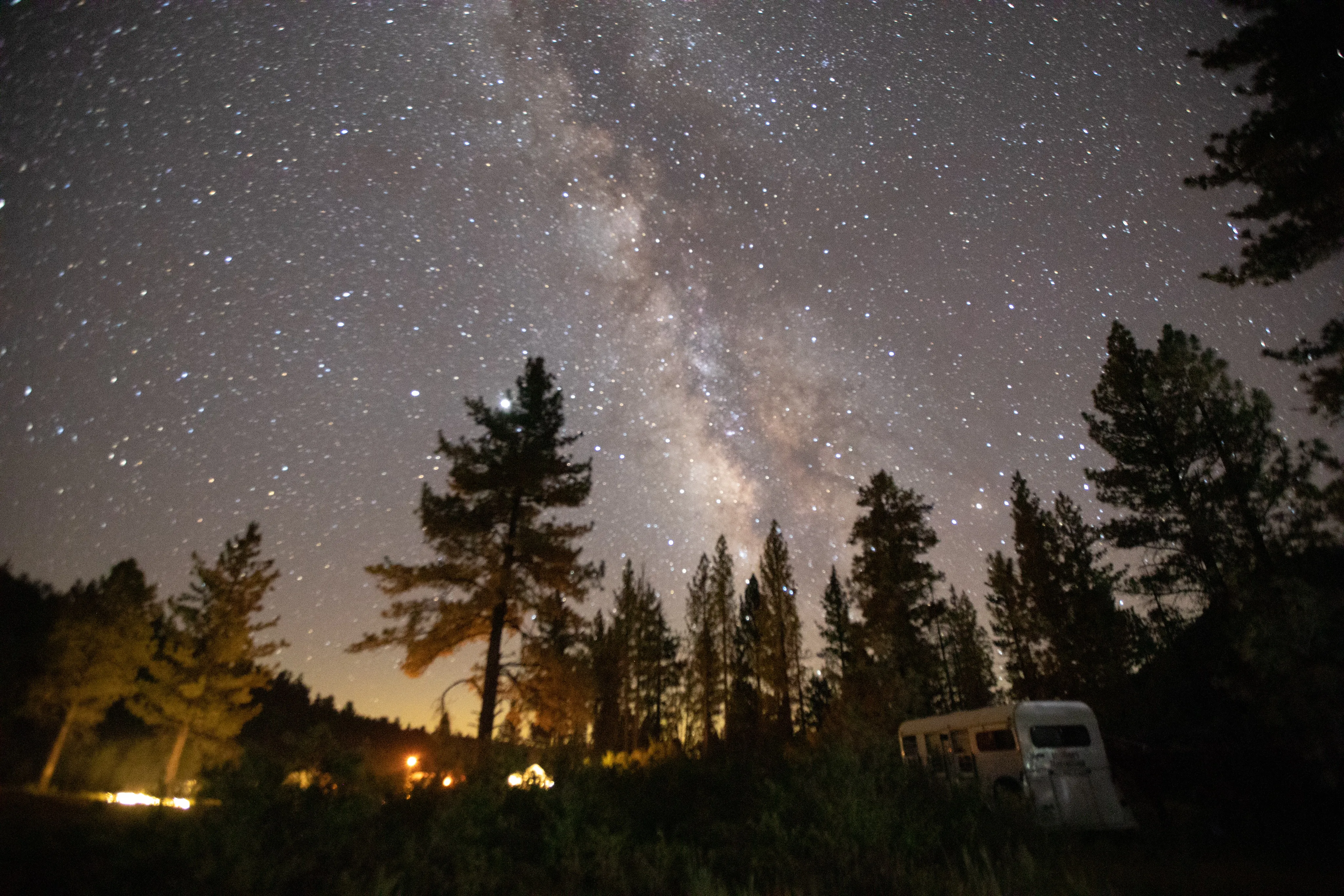 Milky Way and star-filled night sky above pine trees at a California campground.