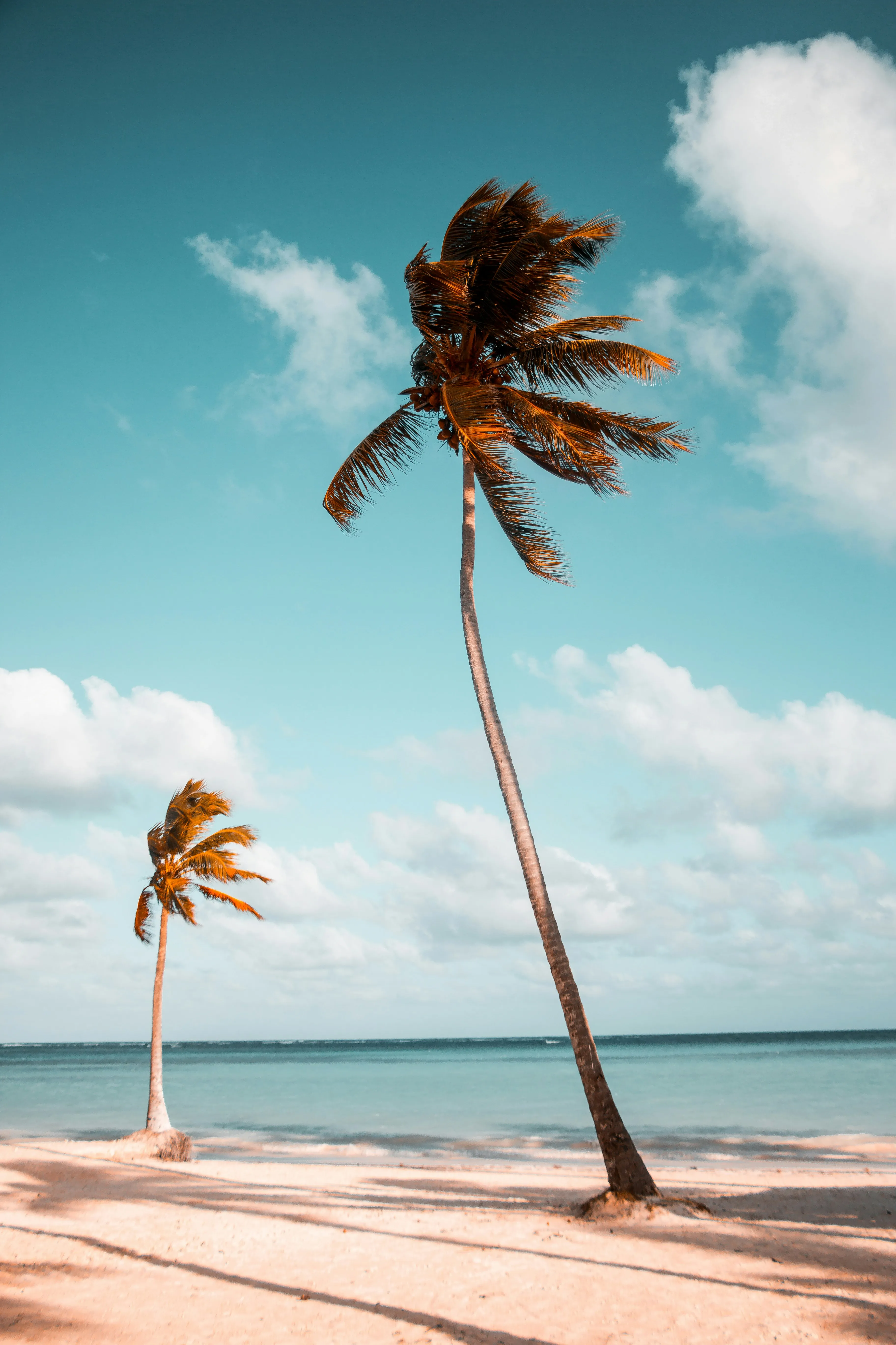 Golf Cart rentals anna maria island