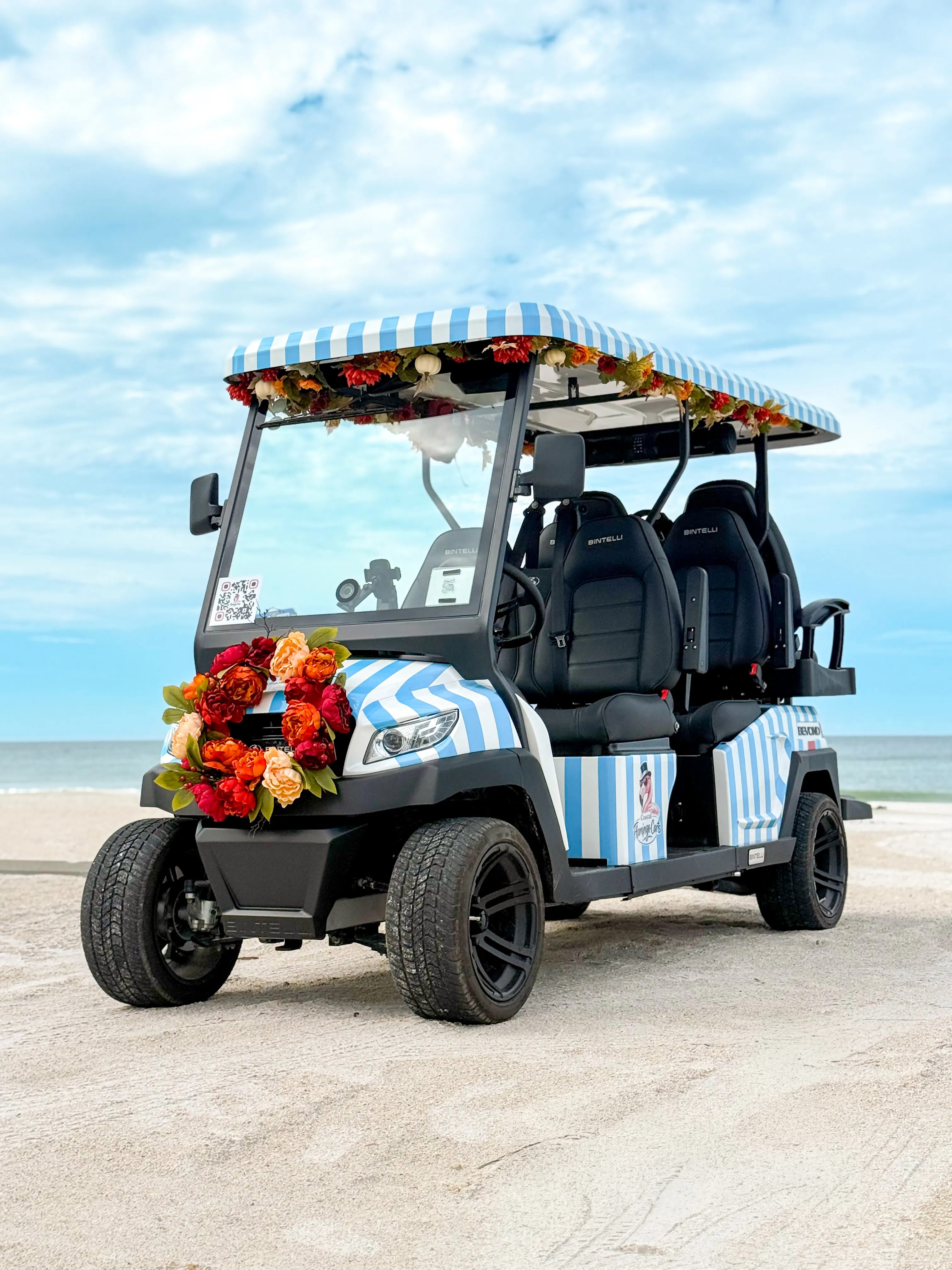 Golf cart rentals anna maria island