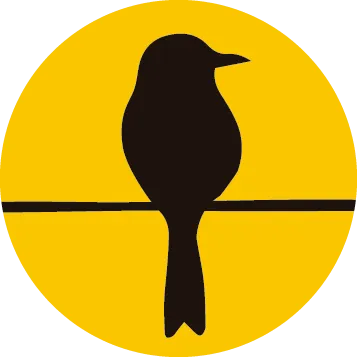 Chroma Key Verde Rosco 2,40x2,40